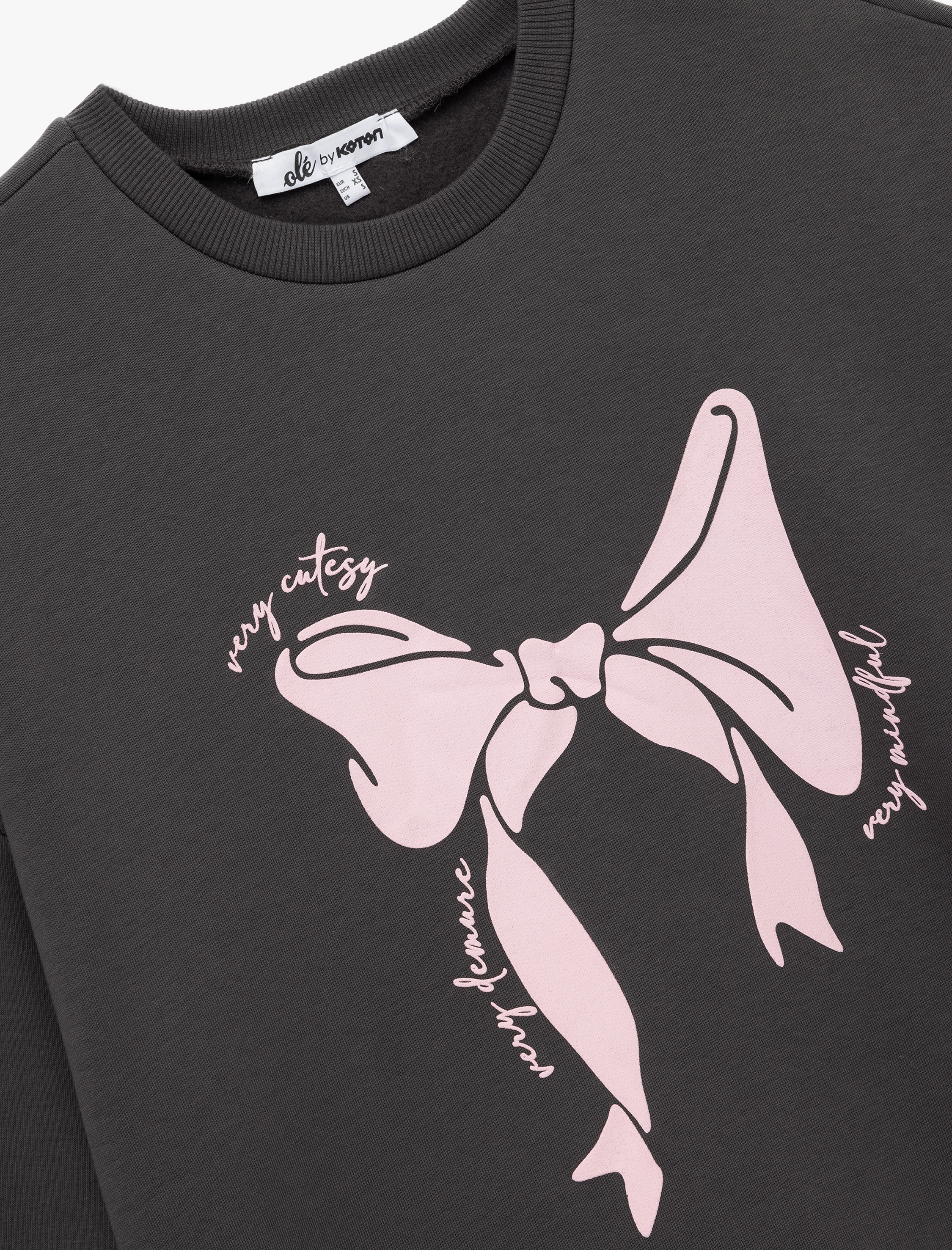   Uzun Kollu Bisiklet Yaka Şardonlu Fiyonk Baskılı Sweatshirt