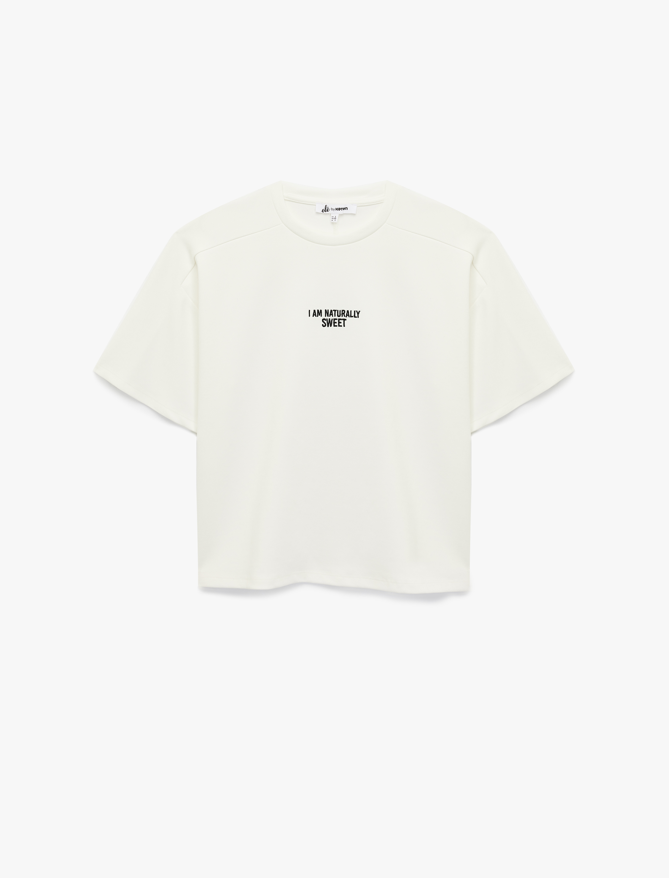 Kısa Kollu Bisiklet Yaka Nakışlı Oversize Tişört