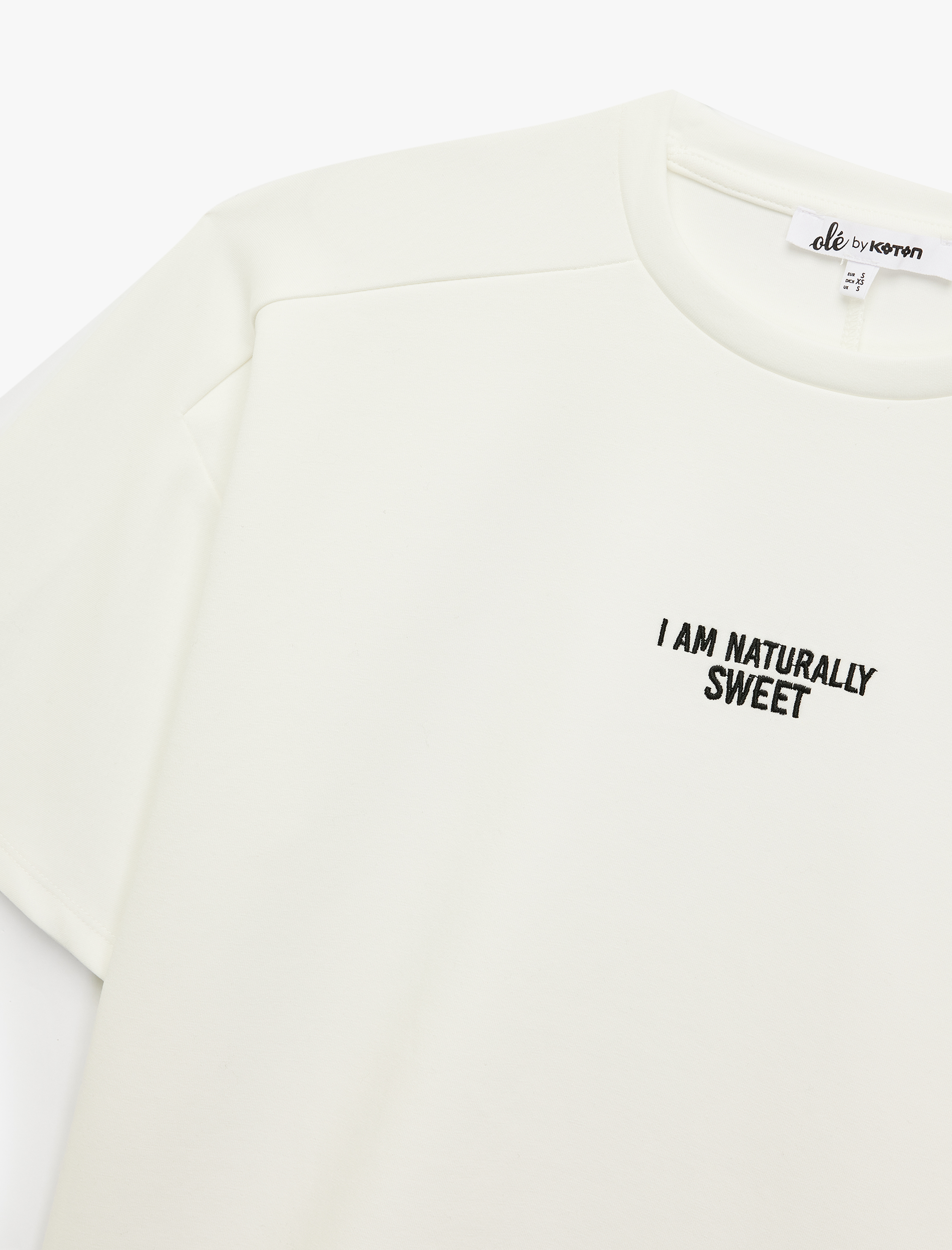 Kısa Kollu Bisiklet Yaka Nakışlı Oversize Tişört