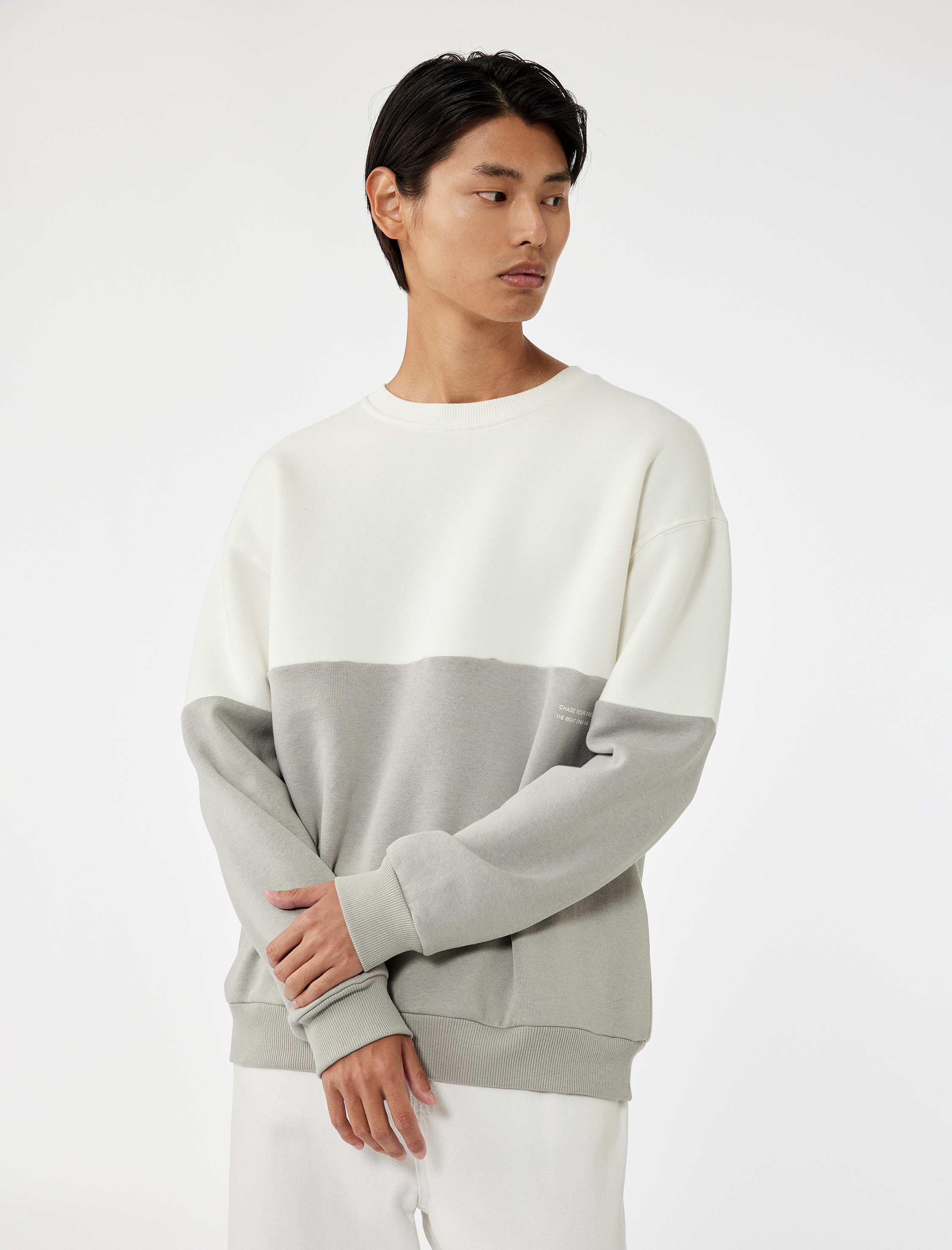   Oversize Uzun Kollu Renk Bloklu Baskı Detaylı Şardonlu Bisiklet Yaka Sweatshirt