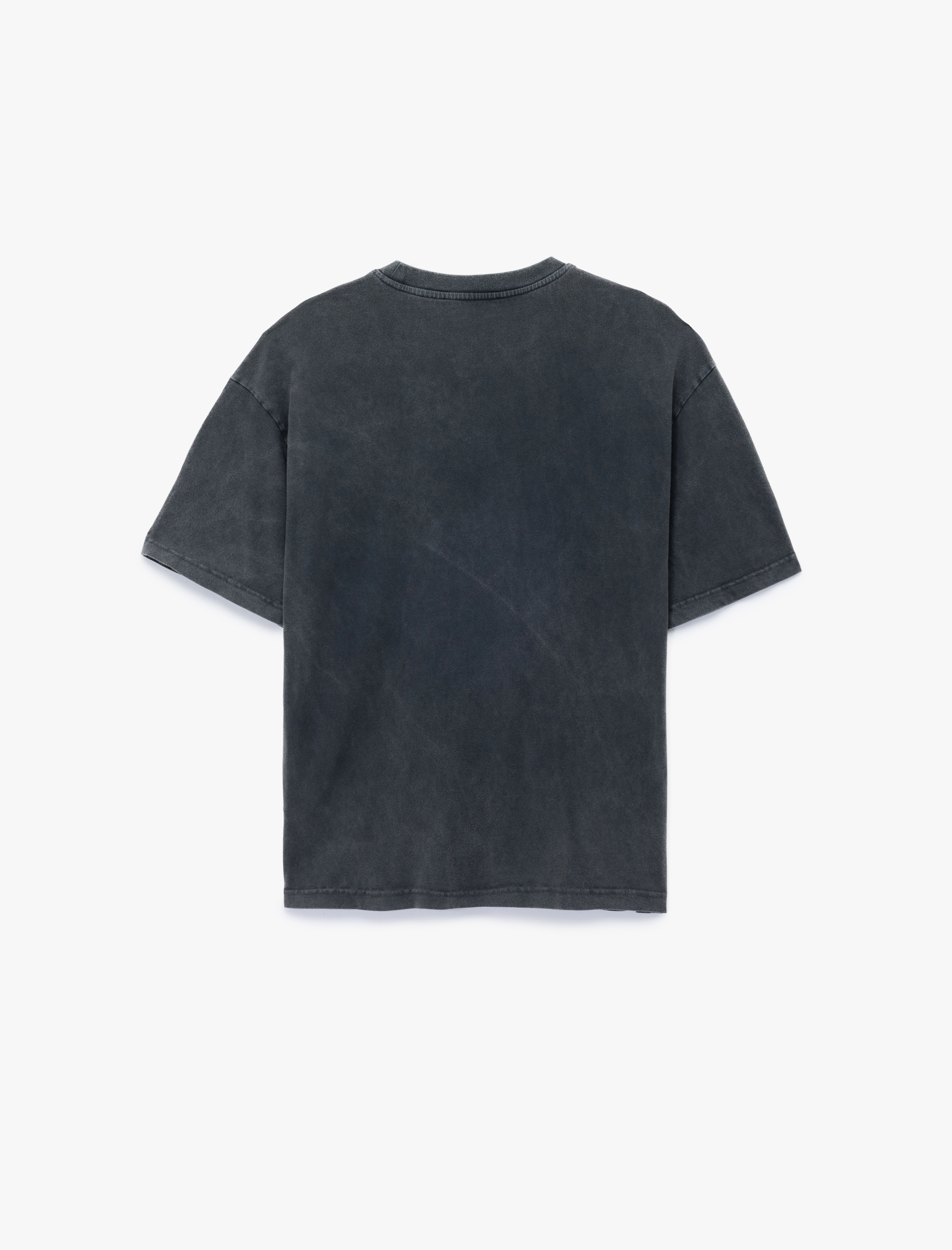   Regular Fit Kısa Kollu Bisiklet Yaka Yıkamalı Pamuklu Baskılı Tişört