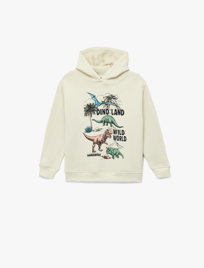 Erkek Çocuk Şardonlu Dinozor Baskılı Uzun Kollu Kapşonlu Sweatshirt