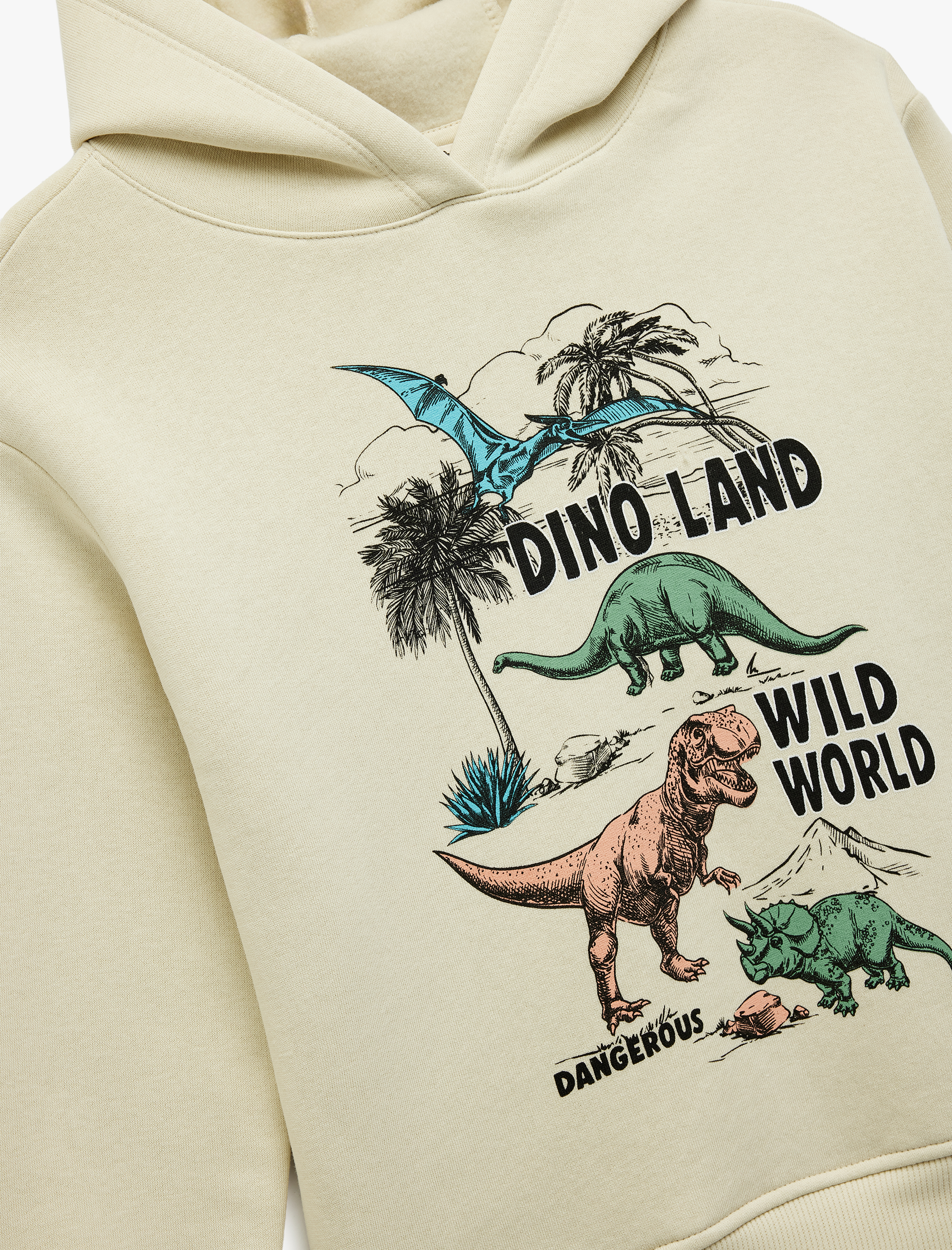 Erkek Çocuk Şardonlu Dinozor Baskılı Uzun Kollu Kapşonlu Sweatshirt