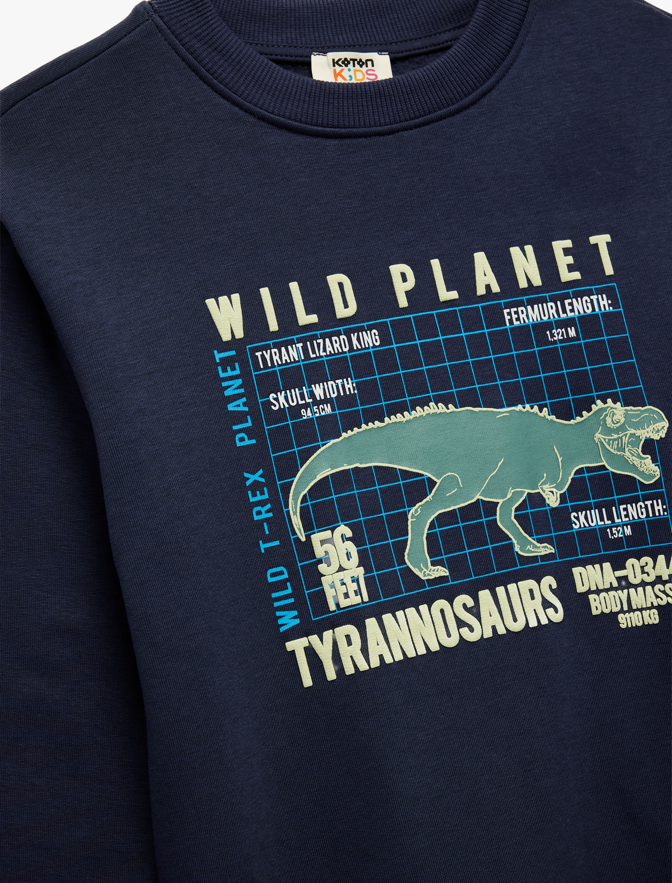  Erkek Çocuk Dinozor Baskılı Şardonlu Uzun Kollu Bisiklet Yaka Sweatshirt