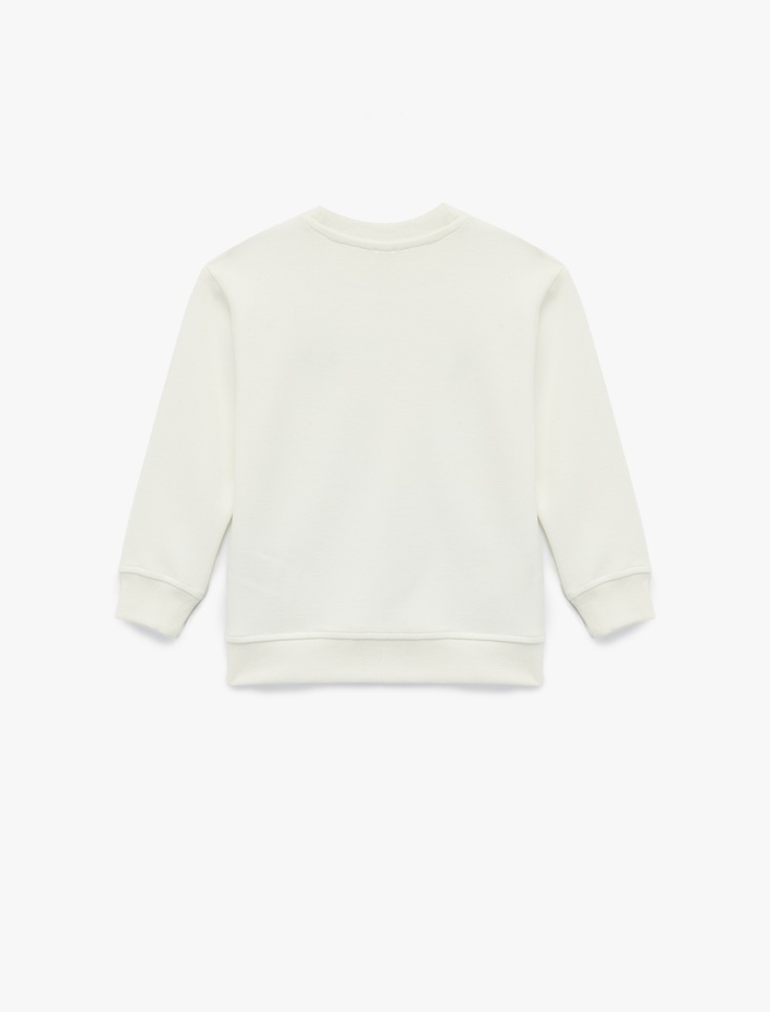 Erkek Çocuk Köpek Baskılı Uzun Kollu Bisiklet Yaka Sweatshirt