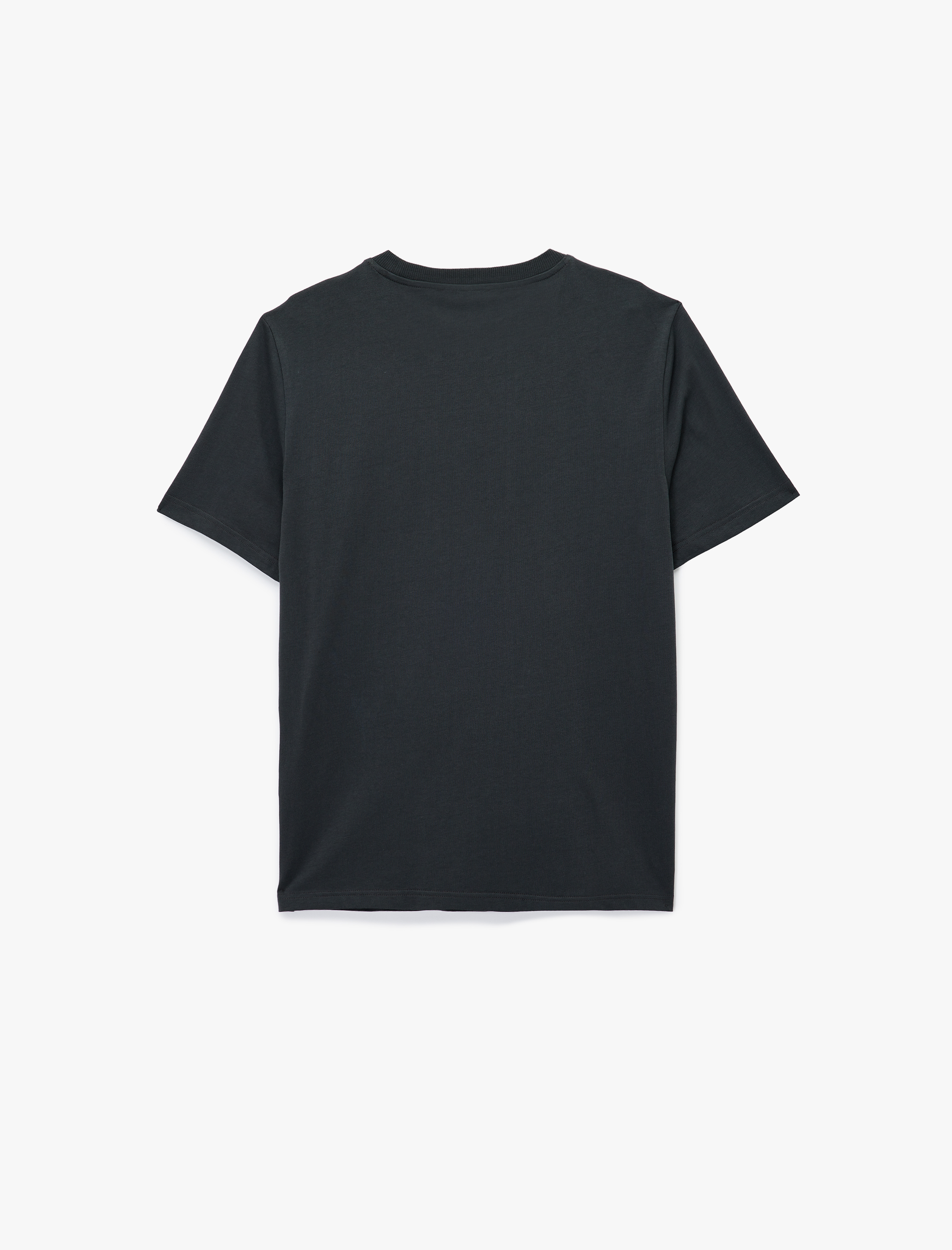   Regular Fit Kısa Kollu Pamuklu Bisiklet Yaka Baskılı Tişört