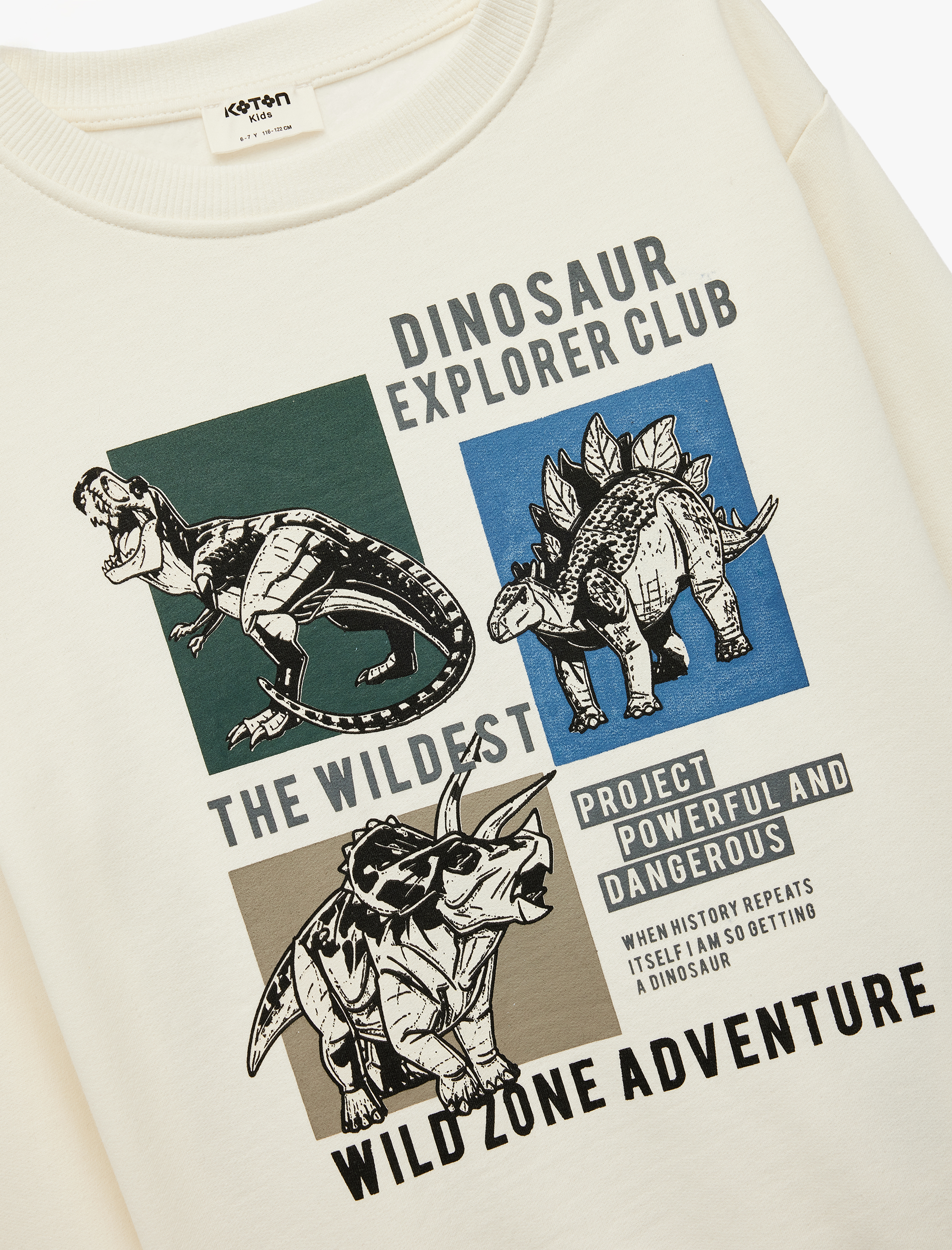  Erkek Çocuk Dinozor Baskılı Uzun Kollu Bisiklet Yaka Pamuklu Şardonlu Sweatshirt