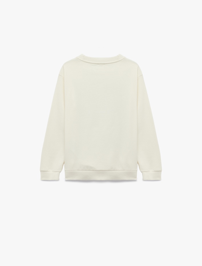 Erkek Çocuk Dinozor Baskılı Uzun Kollu Bisiklet Yaka Pamuklu Şardonlu Sweatshirt