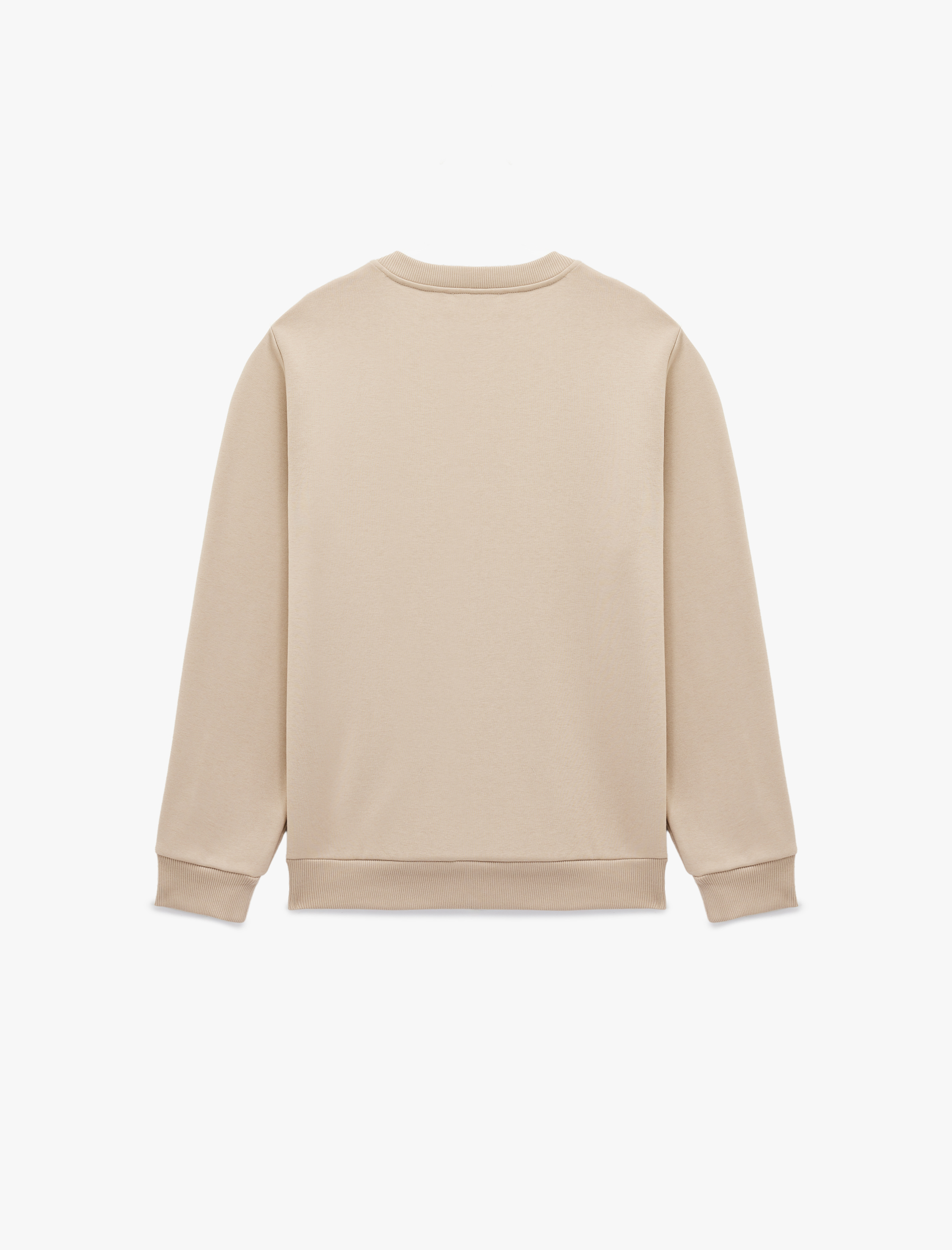 Regular Fit Uzun Kollu Şardonlu Baskılı Bisiklet Yaka Sweatshirt