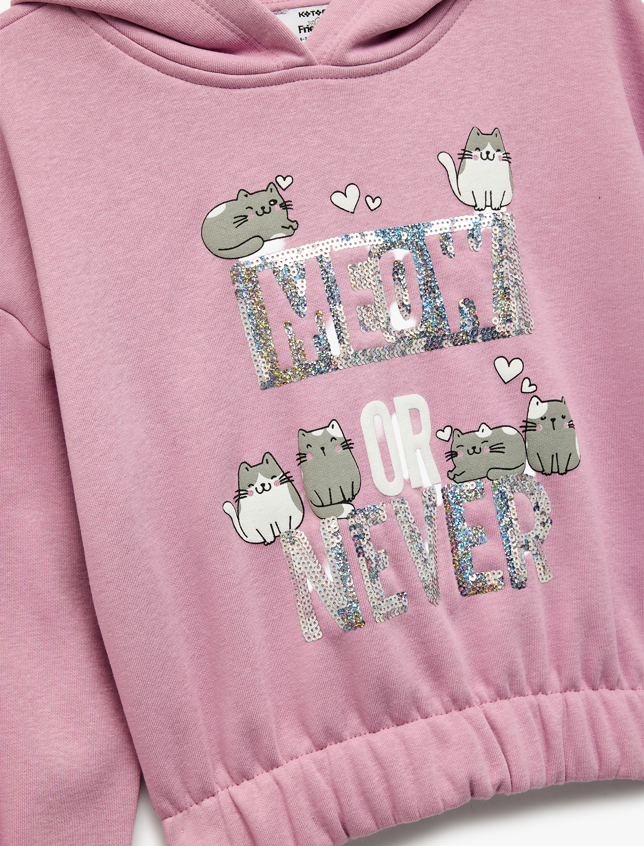  Kız Çocuk Pamuklu Uzun Kollu Kapşonlu Baskılı Şardonlu Sweatshirt