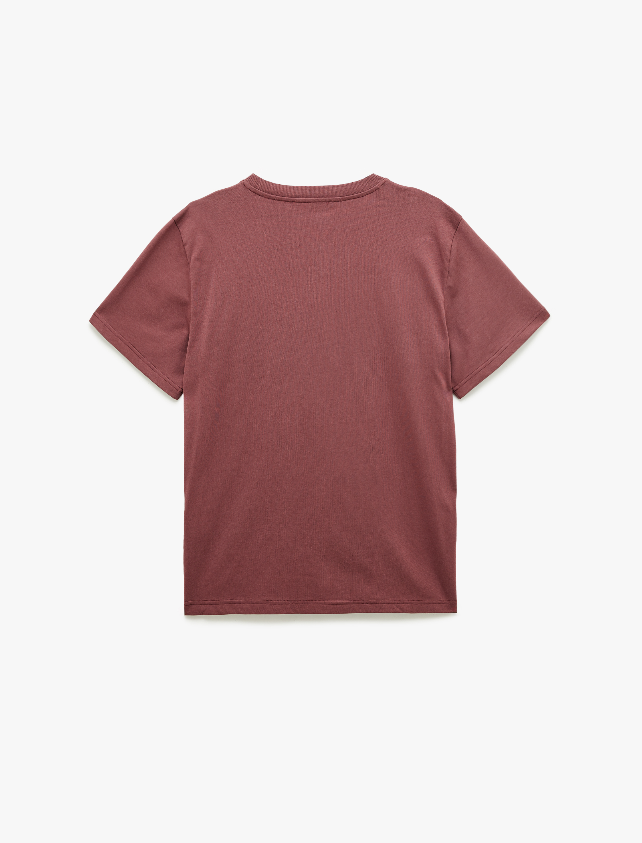   Regular Fit Kısa Kollu Bisiklet Yaka Pamuklu Baskılı Tişört