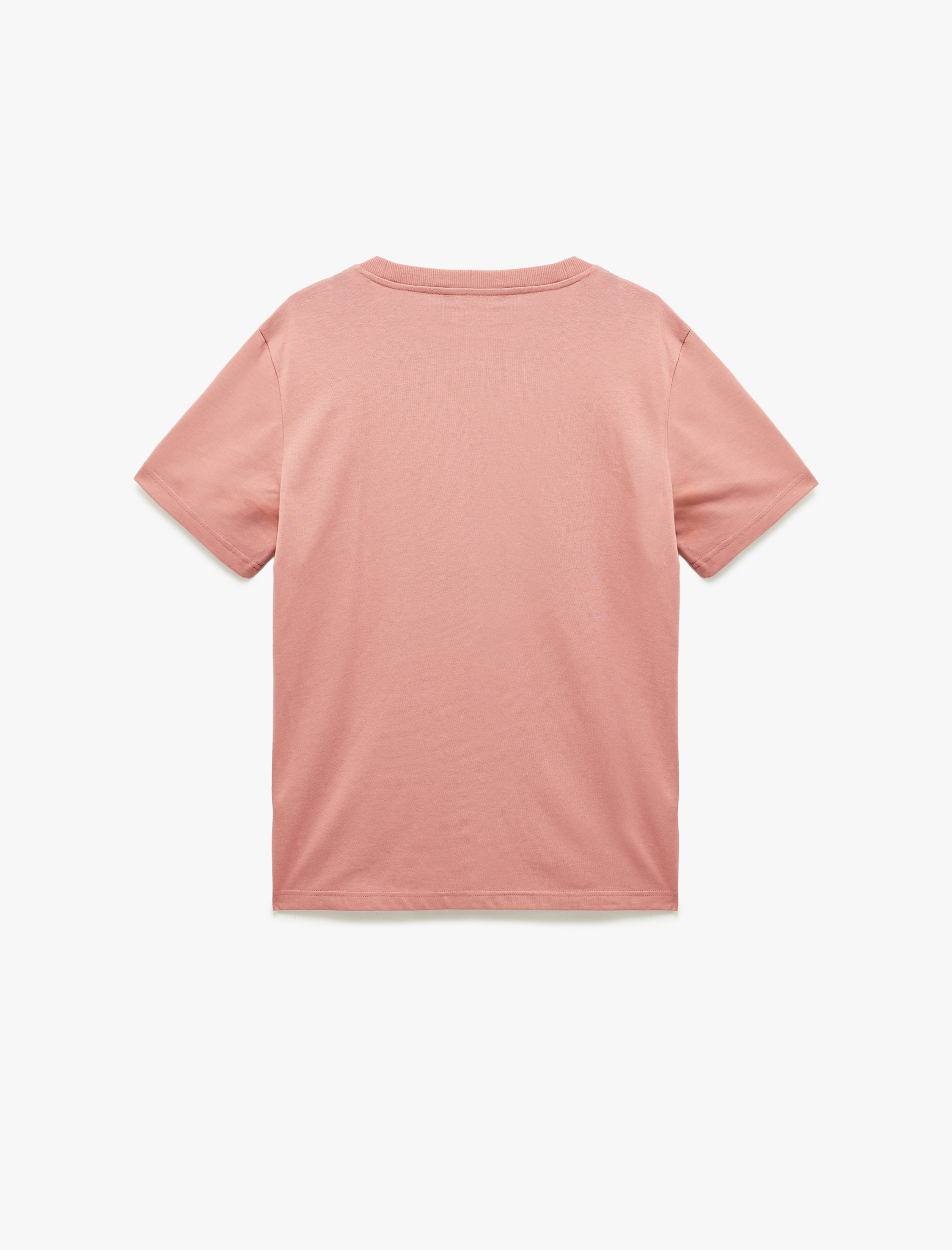   Regular Fit Kısa Kollu Bisiklet Yaka Pamuklu Baskılı Tişört