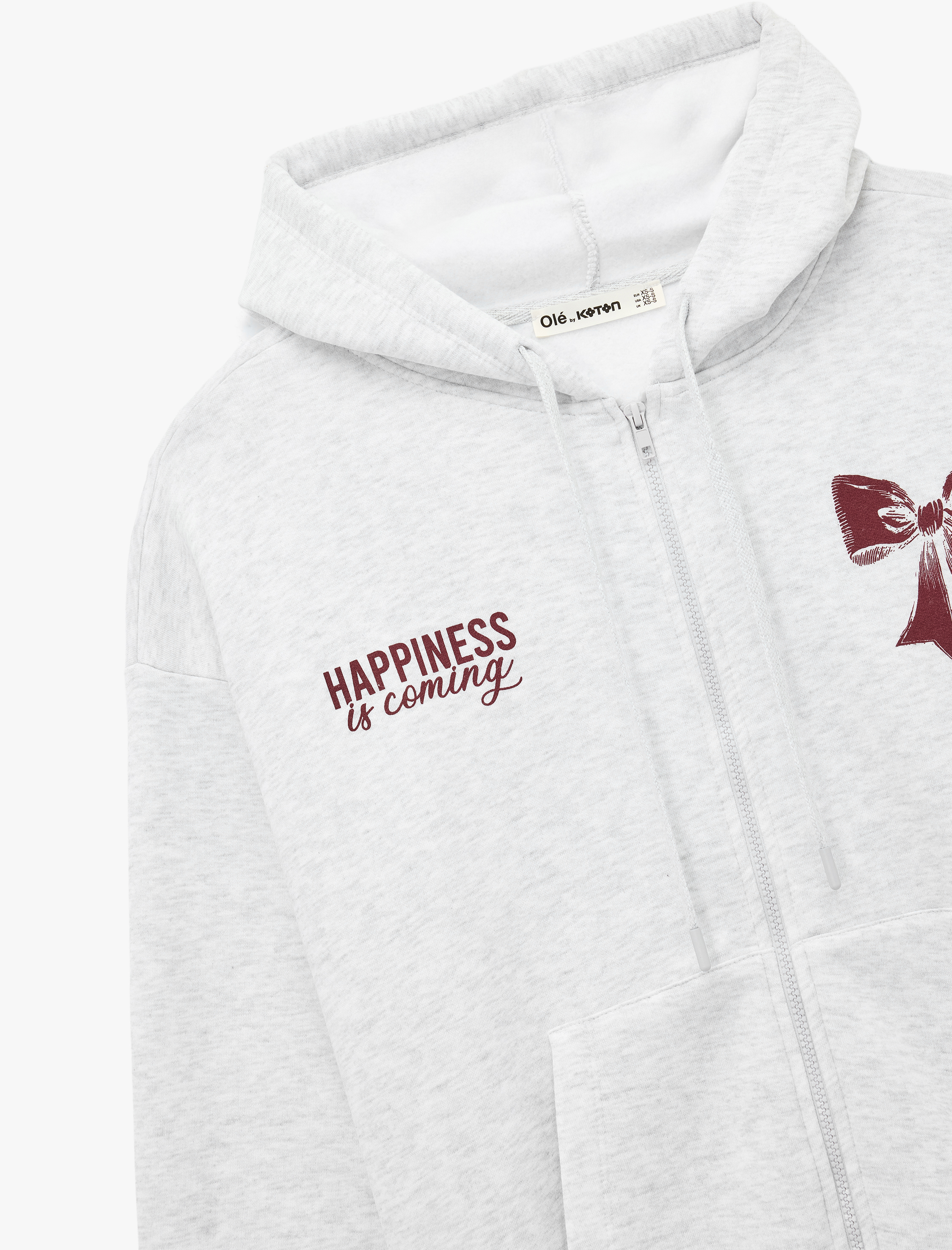   Fermuarlı Kapüşonlu Kanguru Cep Detaylı Arkası Fiyonk Baskılı Şardonlu Oversize Sweatshirt