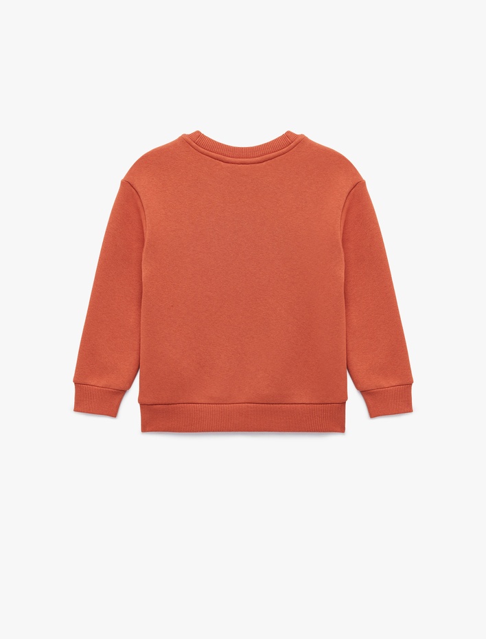 Erkek Bebek Aslan Baskılı Uzun Kollu Bisiklet Yaka Sweatshirt