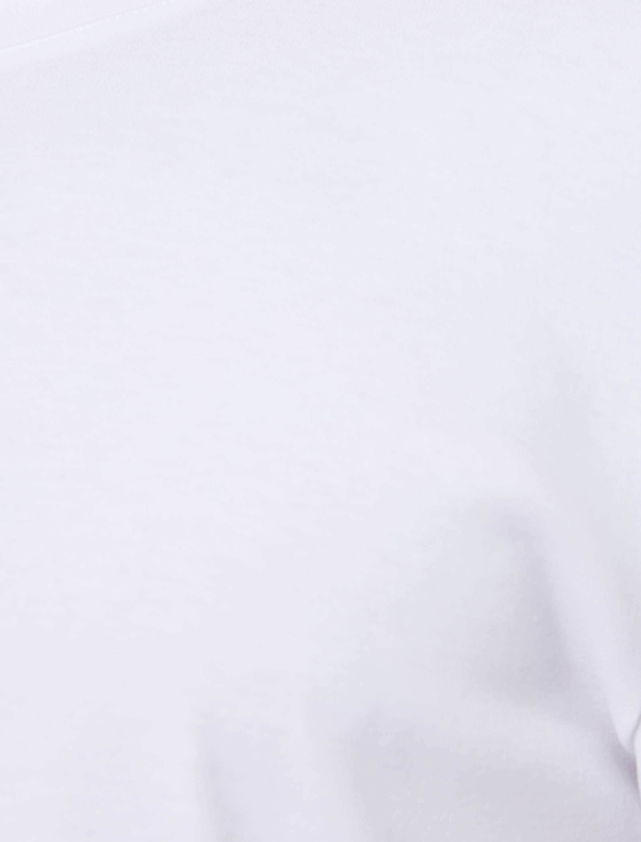   Regular Fit Kısa Kollu Pamuklu Bisiklet Yaka Tişört