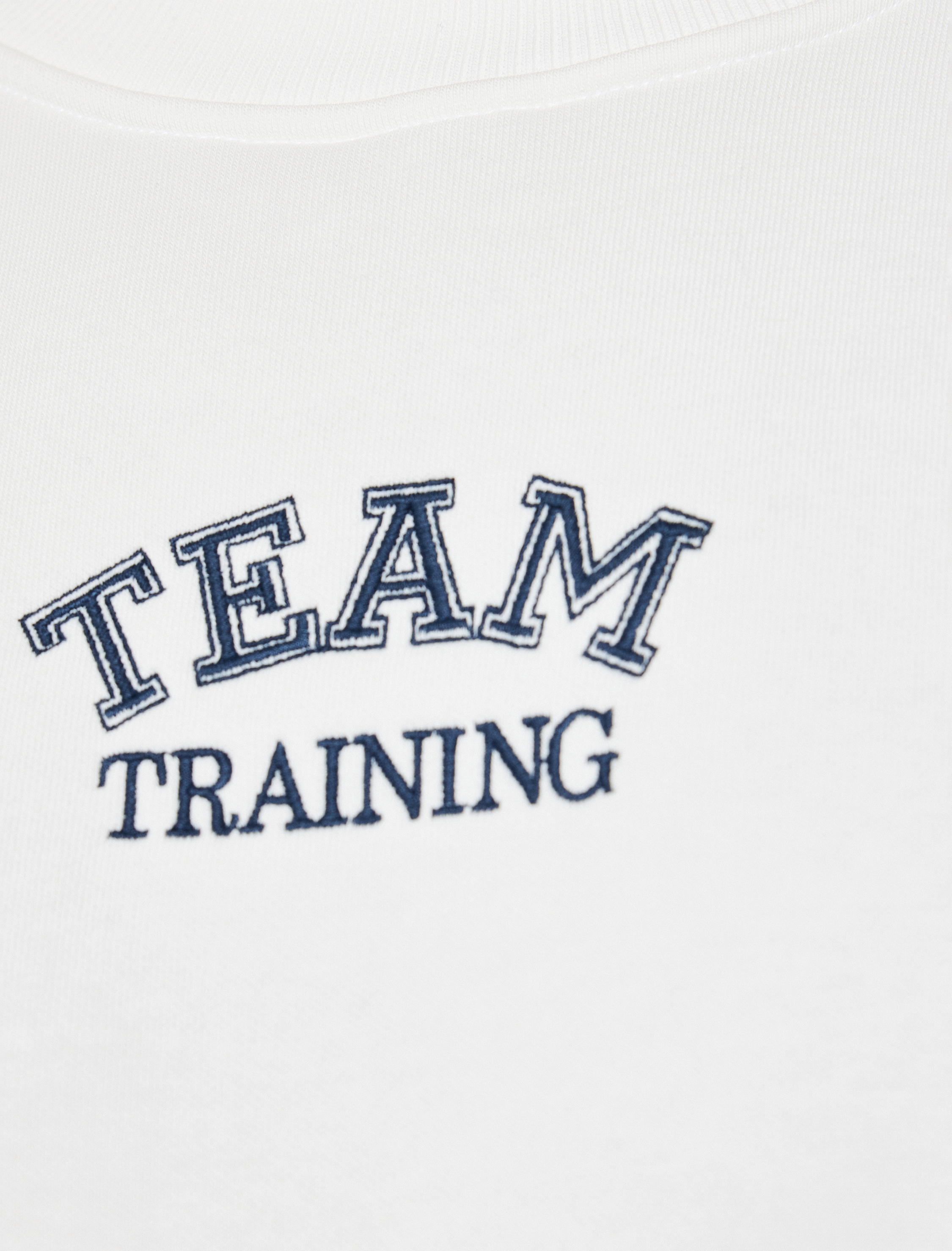   Regular Fit Uzun Kollu Nakışlı Bisiklet Yaka Sweatshirt