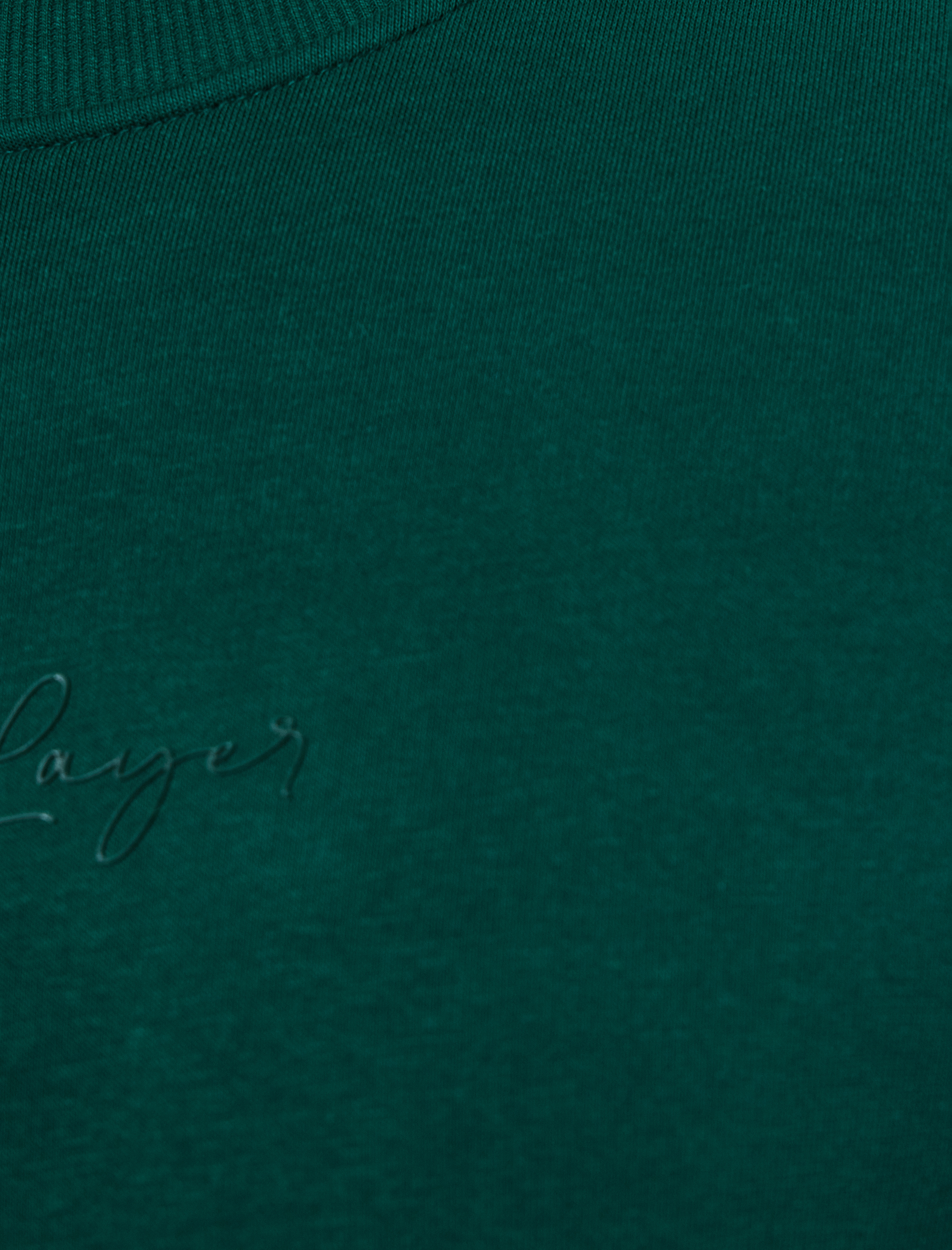   Regular Fit Pamuk Viskon Karışımlı Bisiklet Yaka Baskılı Sweatshirt