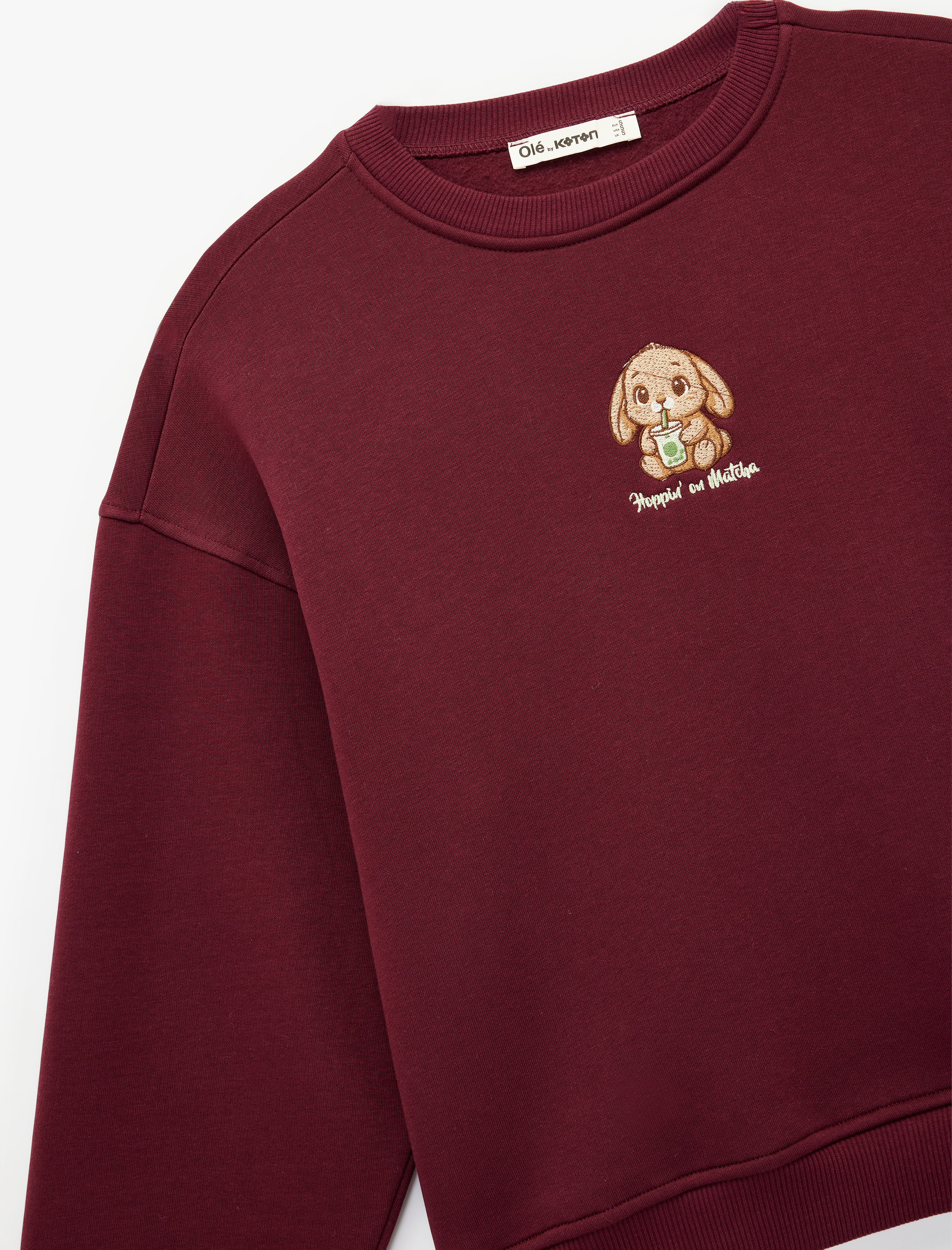   Uzun Kollu Bisiklet Yaka Köpek Nakışlı Oversize Sweatshirt