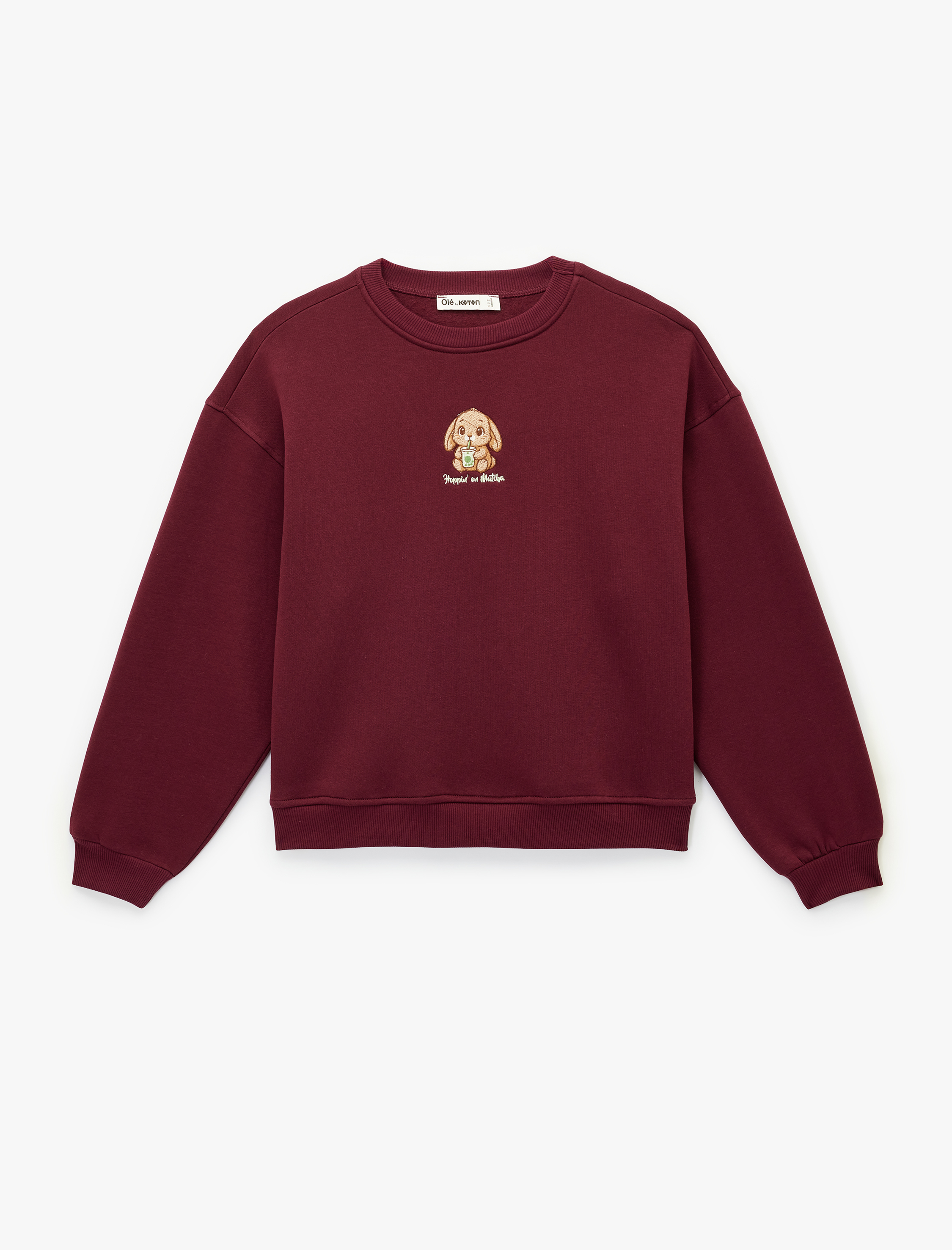   Uzun Kollu Bisiklet Yaka Köpek Nakışlı Oversize Sweatshirt