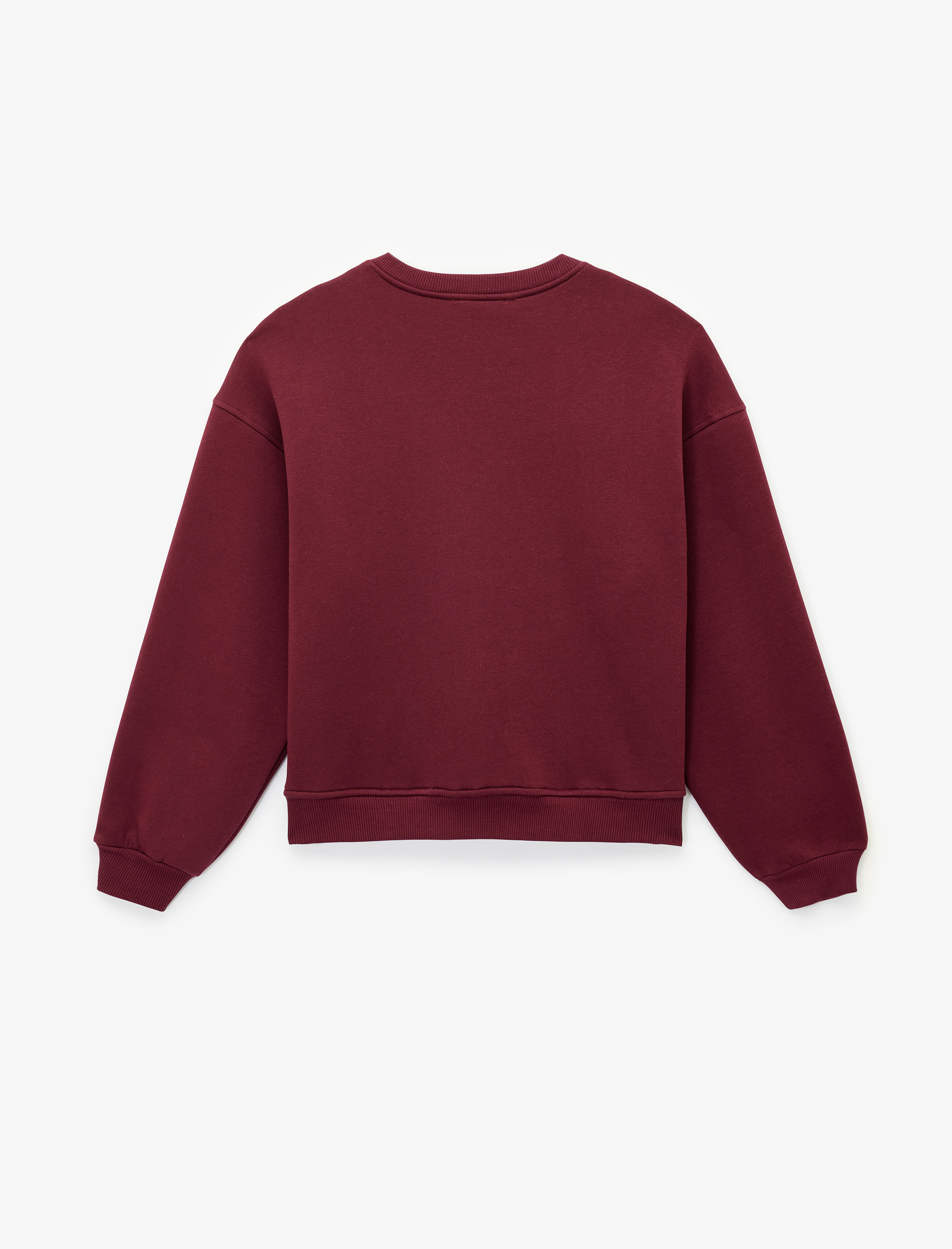   Uzun Kollu Bisiklet Yaka Köpek Nakışlı Oversize Sweatshirt