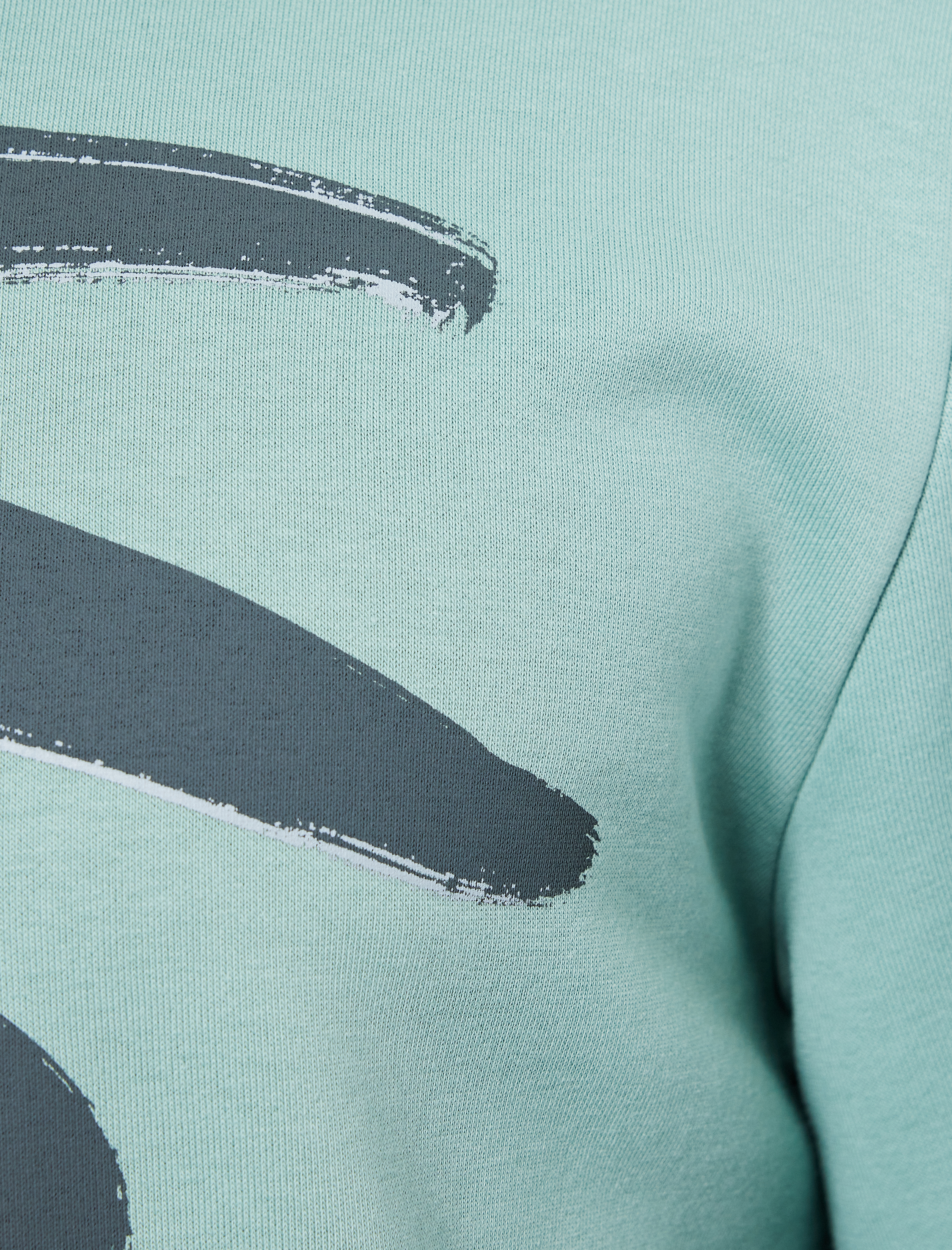   Uzun Kollu Baskılı Kapşonlu Sweatshirt