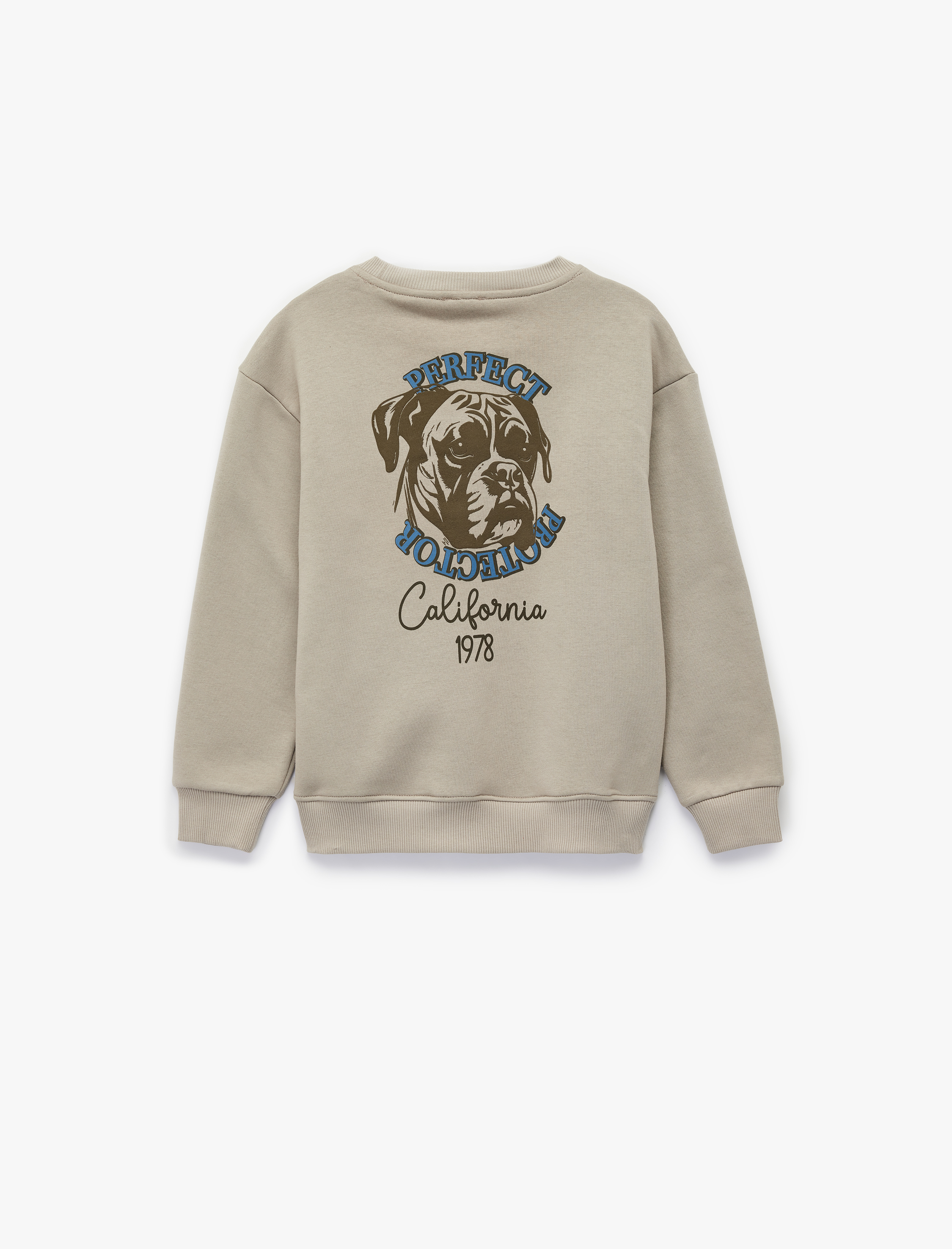  Erkek Çocuk Şardonlu Uzun Kollu Bisiklet Yaka Köpek Baskılı Sweatshirt
