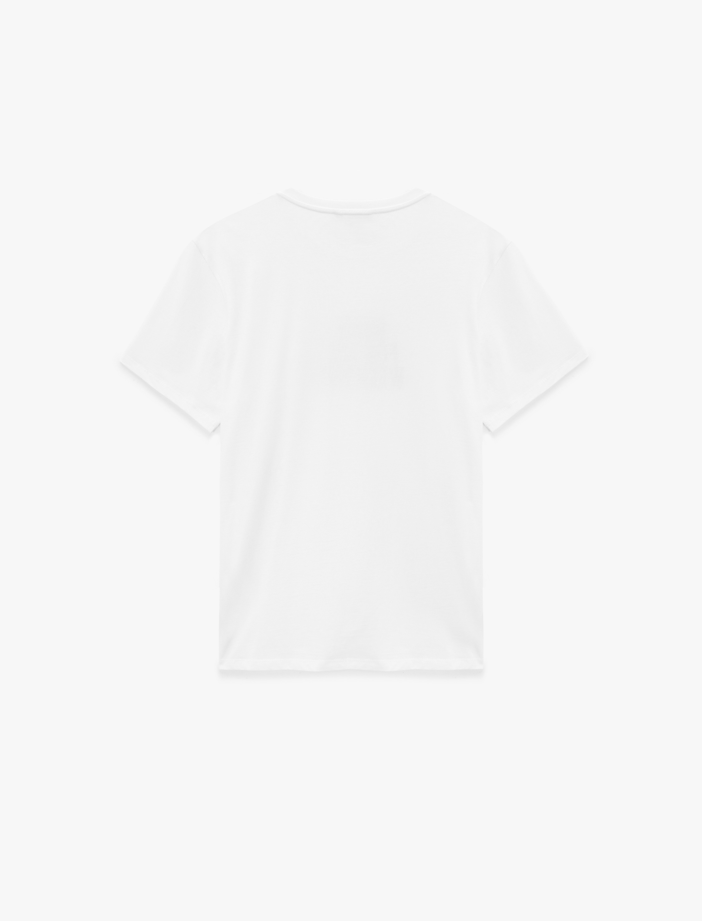   Regular Fit Kısa Kollu Bisiklet Yaka Pamuklu Baskılı Tişört