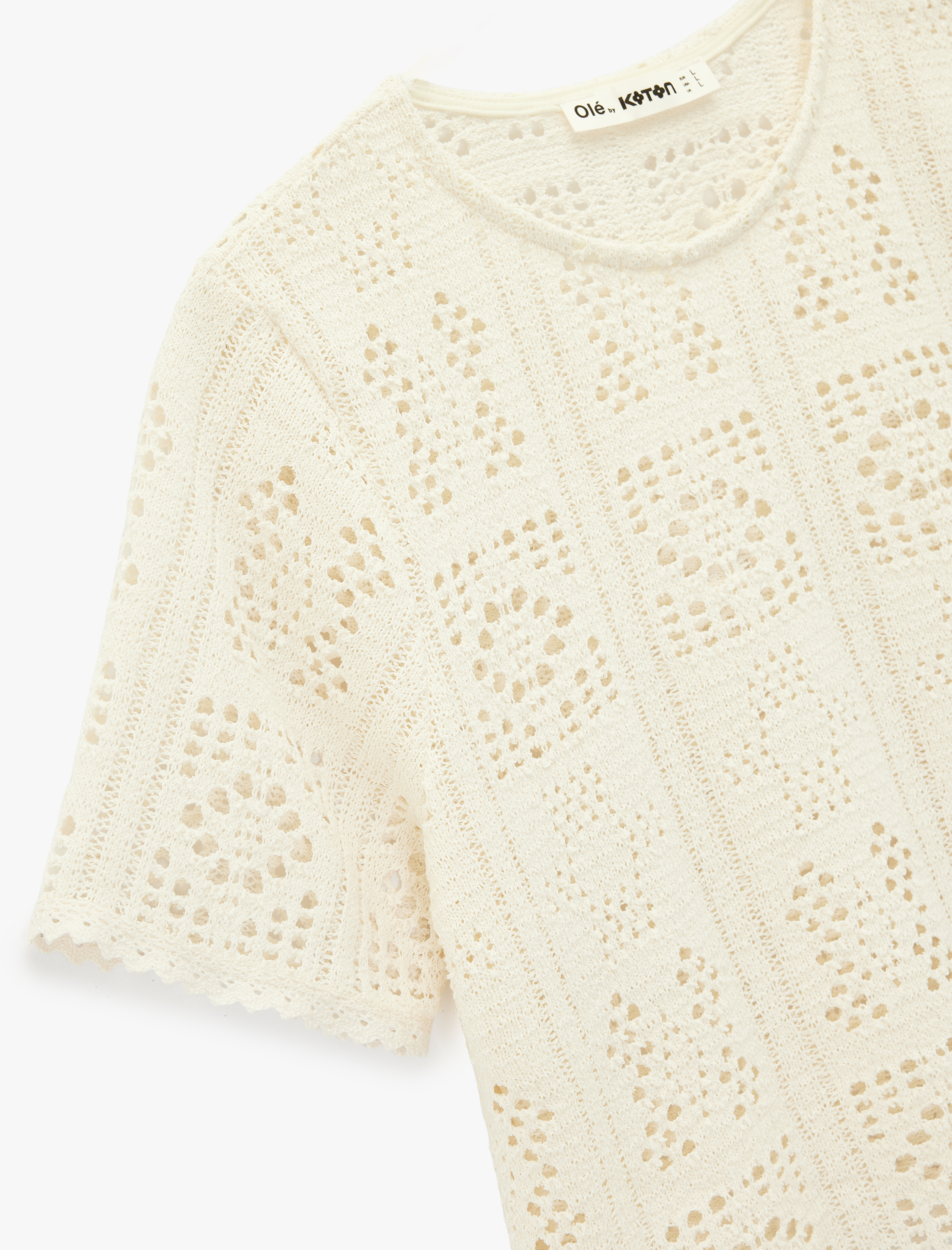   Regular Fit Bisiklet Yaka Kısa Kollu Kroşe Crop Tişört