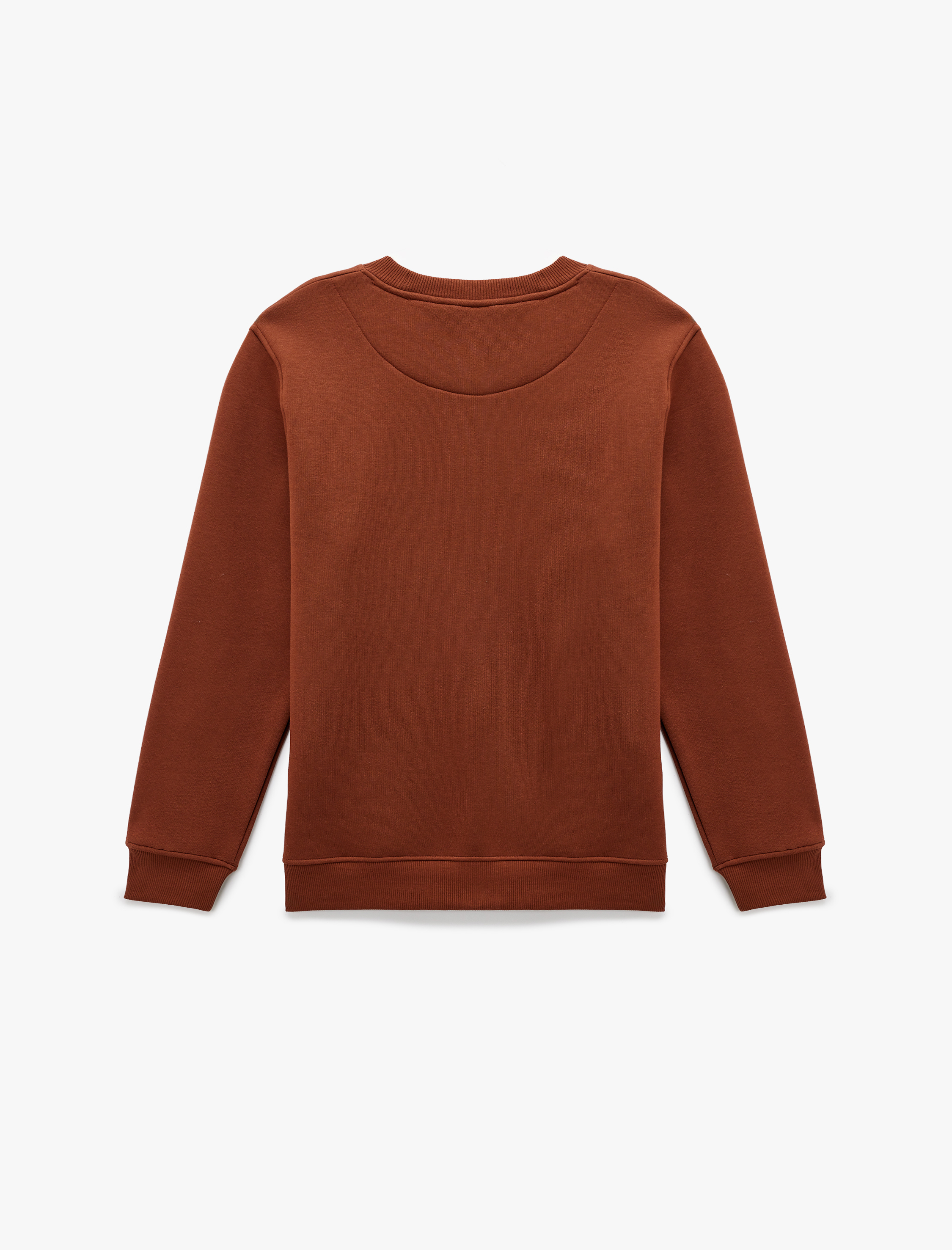   Regular Fit Pamuk Viskon Karışımlı Bisiklet Yaka Baskılı Sweatshirt