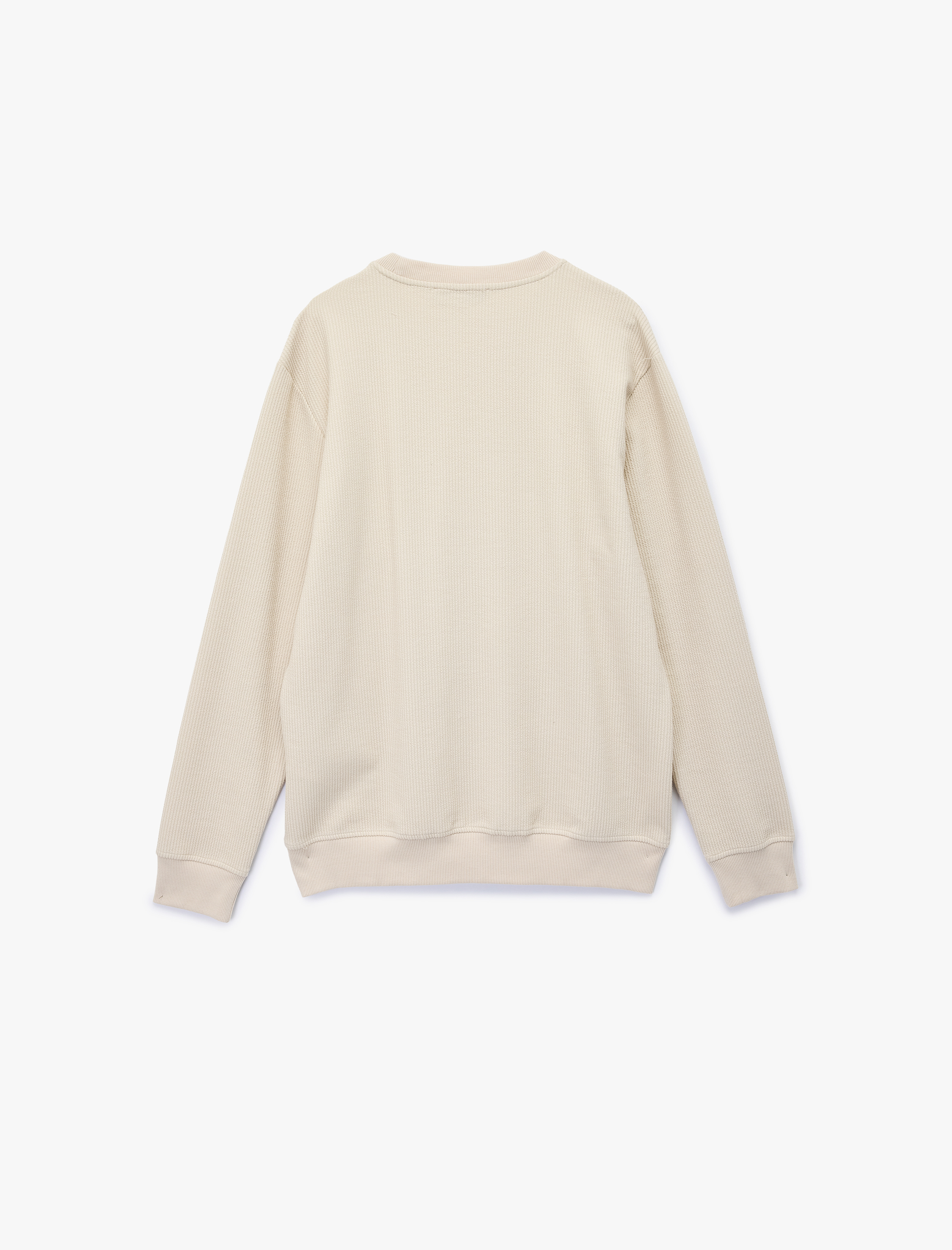   Regular Fit Uzun Kollu Dokulu Basic Bisiklet Yaka Sweatshirt