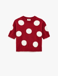 Bisiklet Yaka Kısa Kollu Puantiyeli Triko Kazak