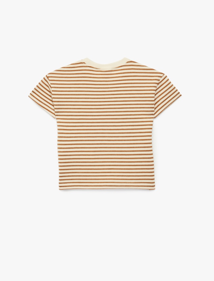 Erkek Bebek Pamuklu Kısa Kollu Bisiklet Yaka Tişört