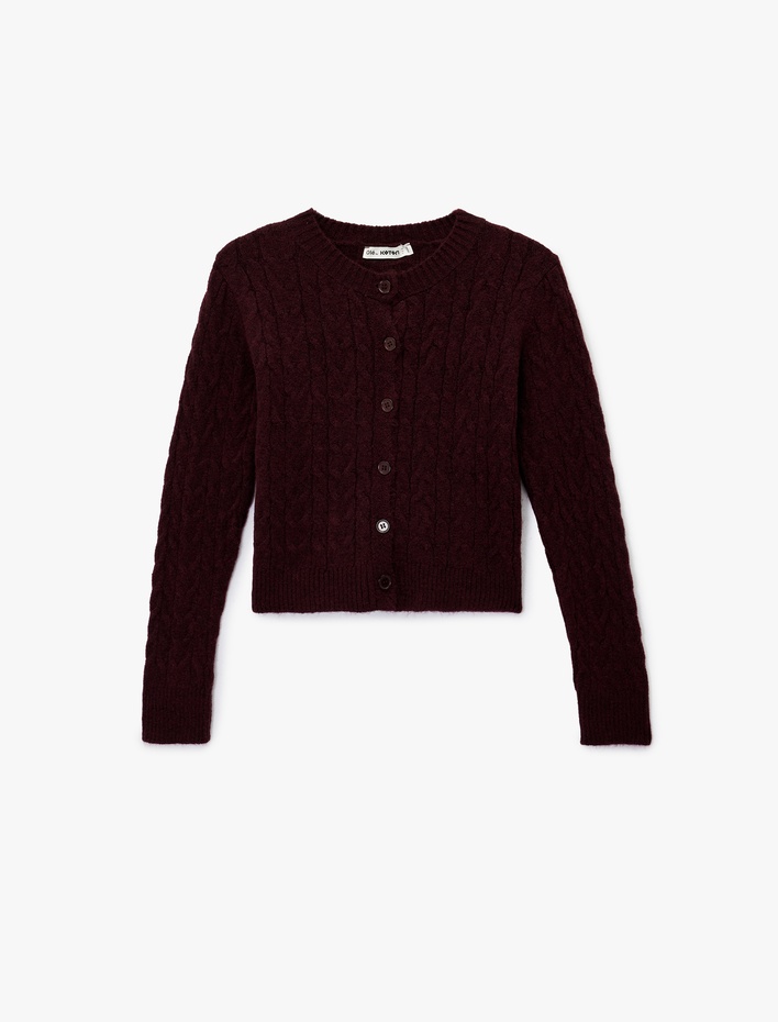  Bisiklet Yaka Düğmeli Saç Örgü Dokulu Triko Hırka