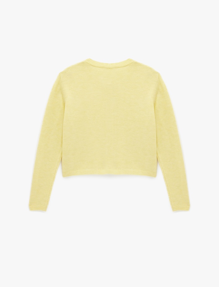  Bisiklet Yaka Düğme Detaylı Basic Triko Hırka