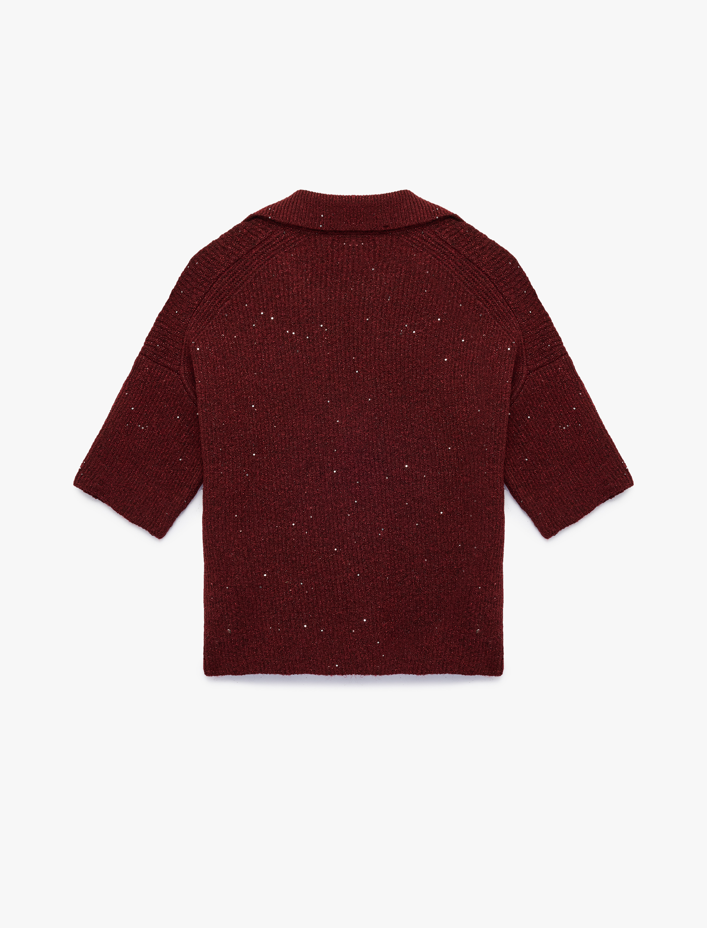   Kısa Kollu Pullu Parıltılı Polo Yaka Triko Kazak