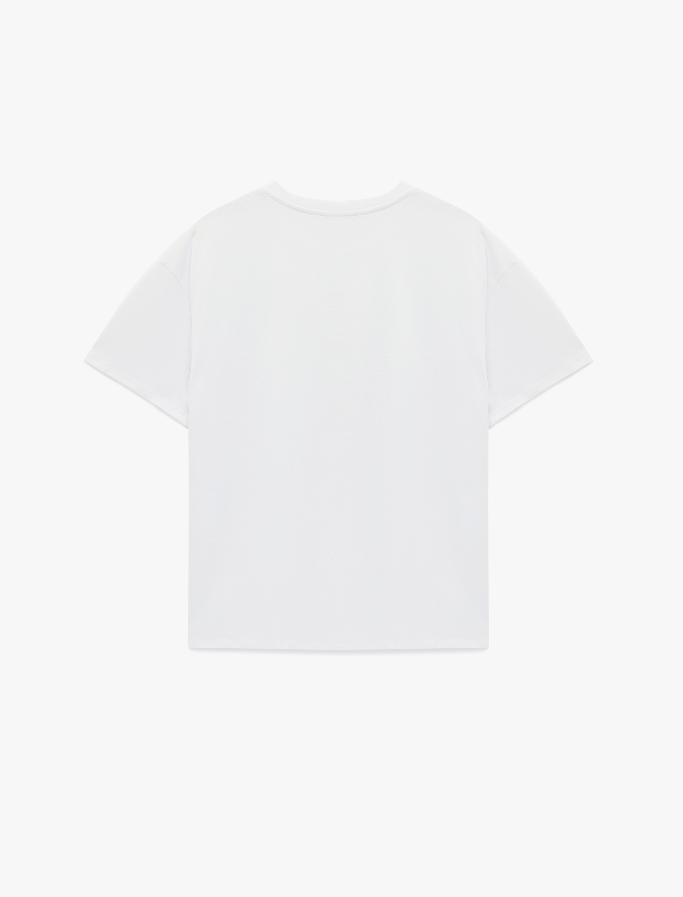   Pamuklu Kısa Kollu Bisiklet Yaka Baskılı Tişört