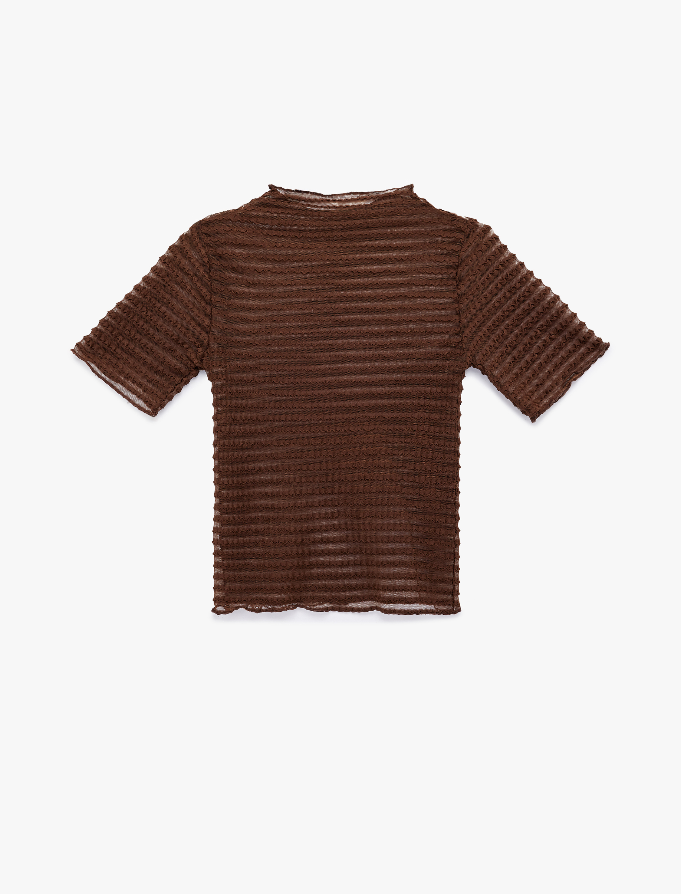   Regular Fit Kısa Kollu Bisiklet Yaka Yarı Transparan Tişört