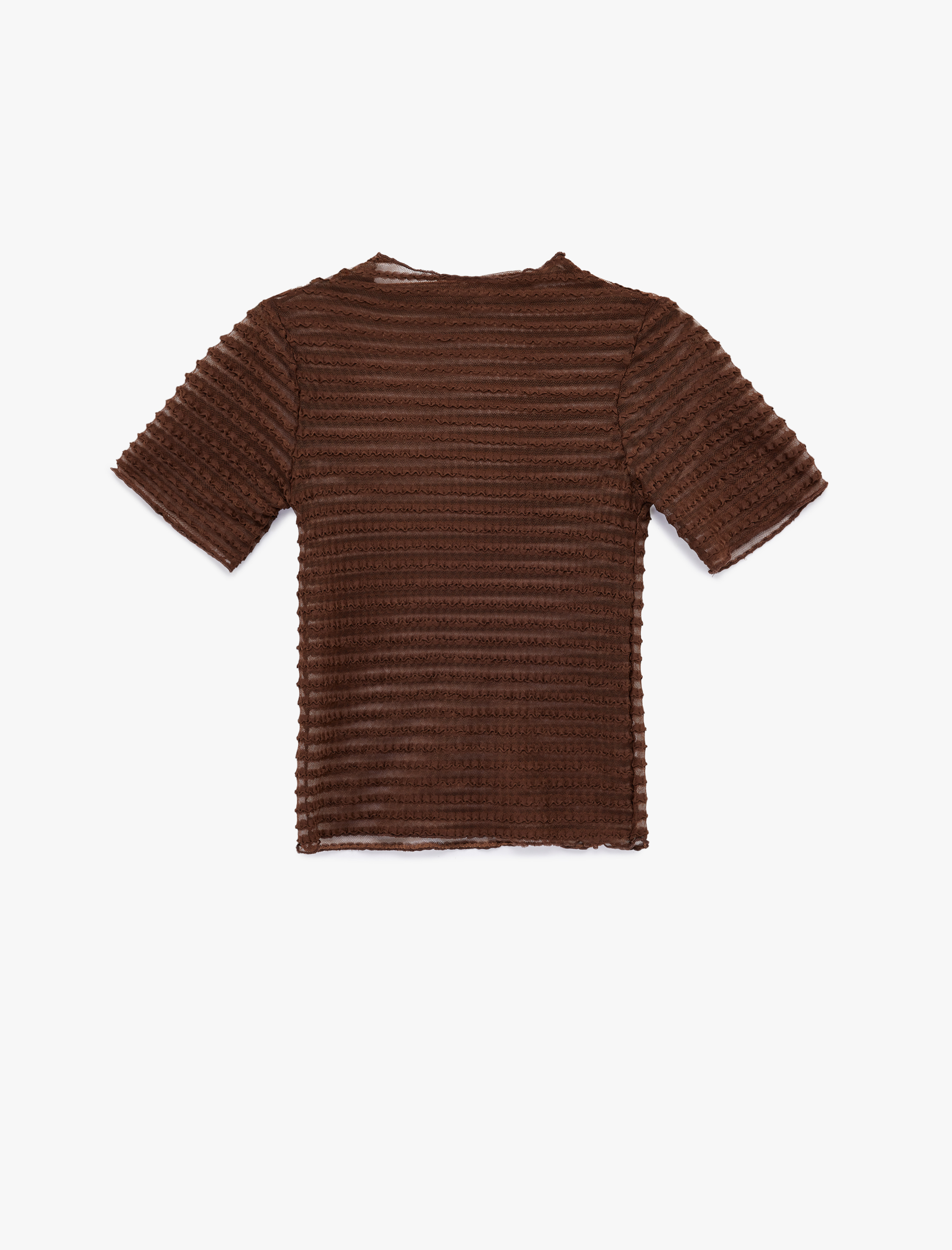   Regular Fit Kısa Kollu Bisiklet Yaka Yarı Transparan Tişört