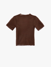 Regular Fit Kısa Kollu Bisiklet Yaka Yarı Transparan Tişört