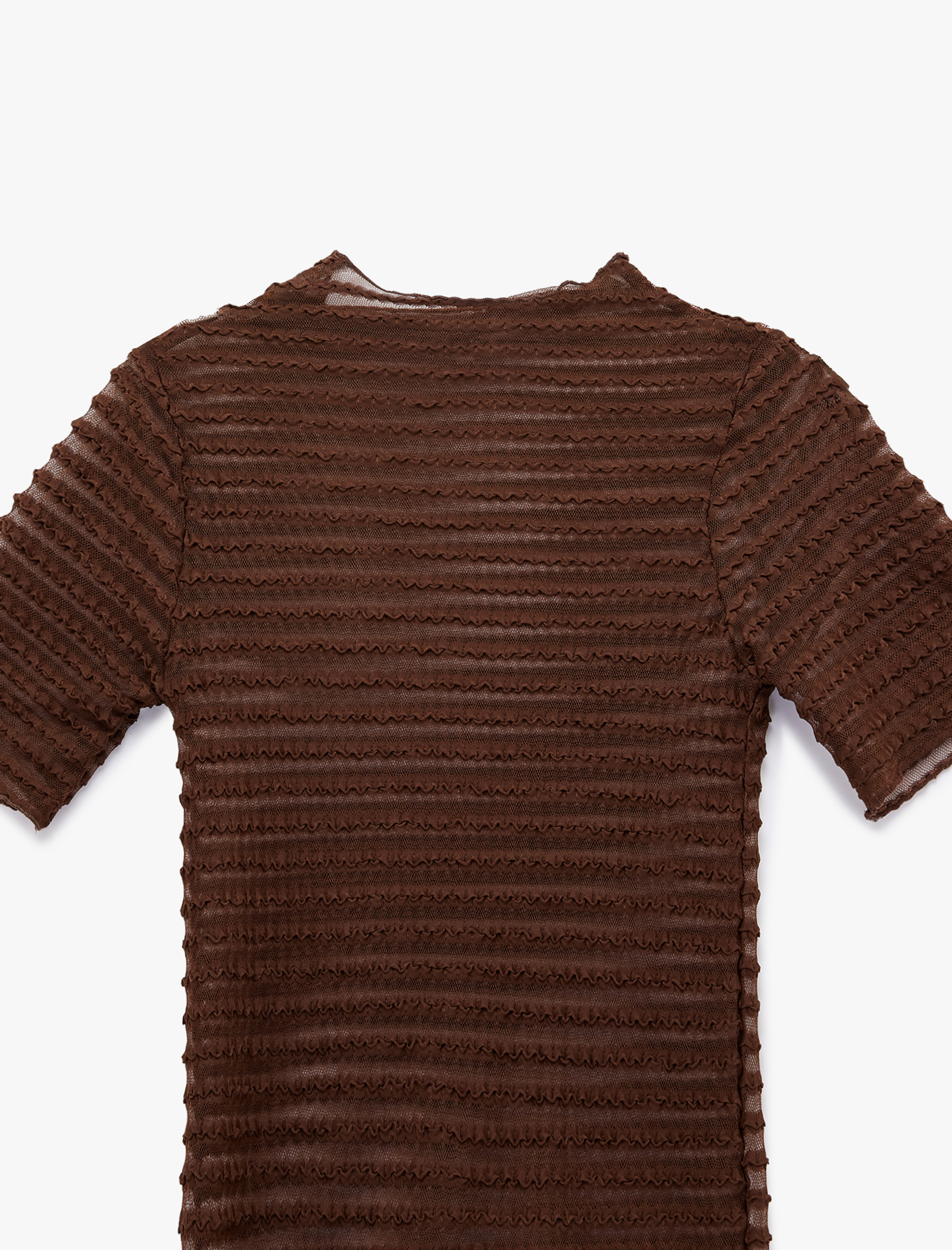   Regular Fit Kısa Kollu Bisiklet Yaka Yarı Transparan Tişört