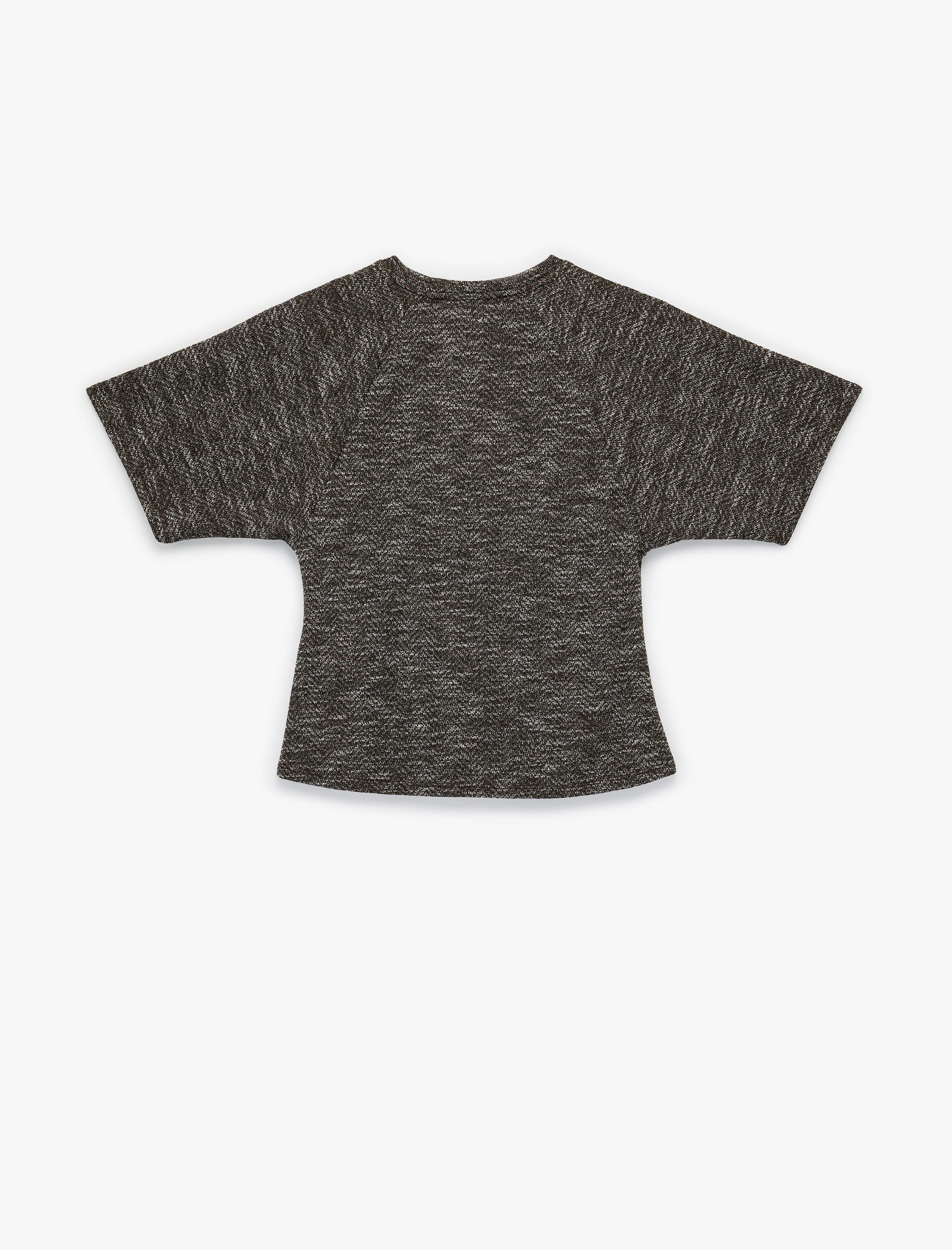   Regular Fit Kısa Kollu Bisiklet Yaka Tişört