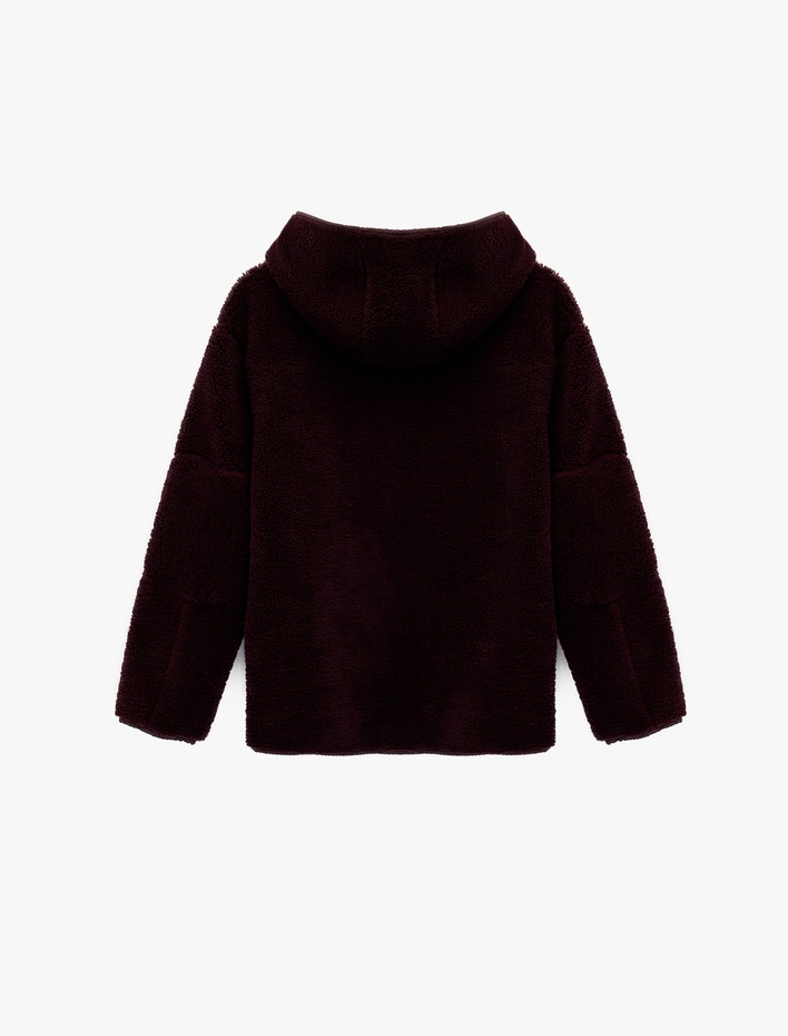  Kapüşonlu Uzun Kollu Fermuar Detaylı Ceket