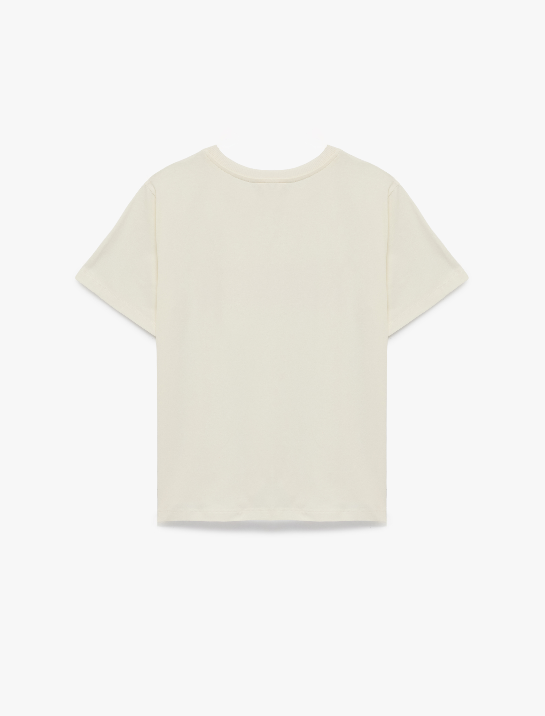   Regular Fit Kısa Kollu Bisiklet Yaka Pamuklu Baskılı Tişört