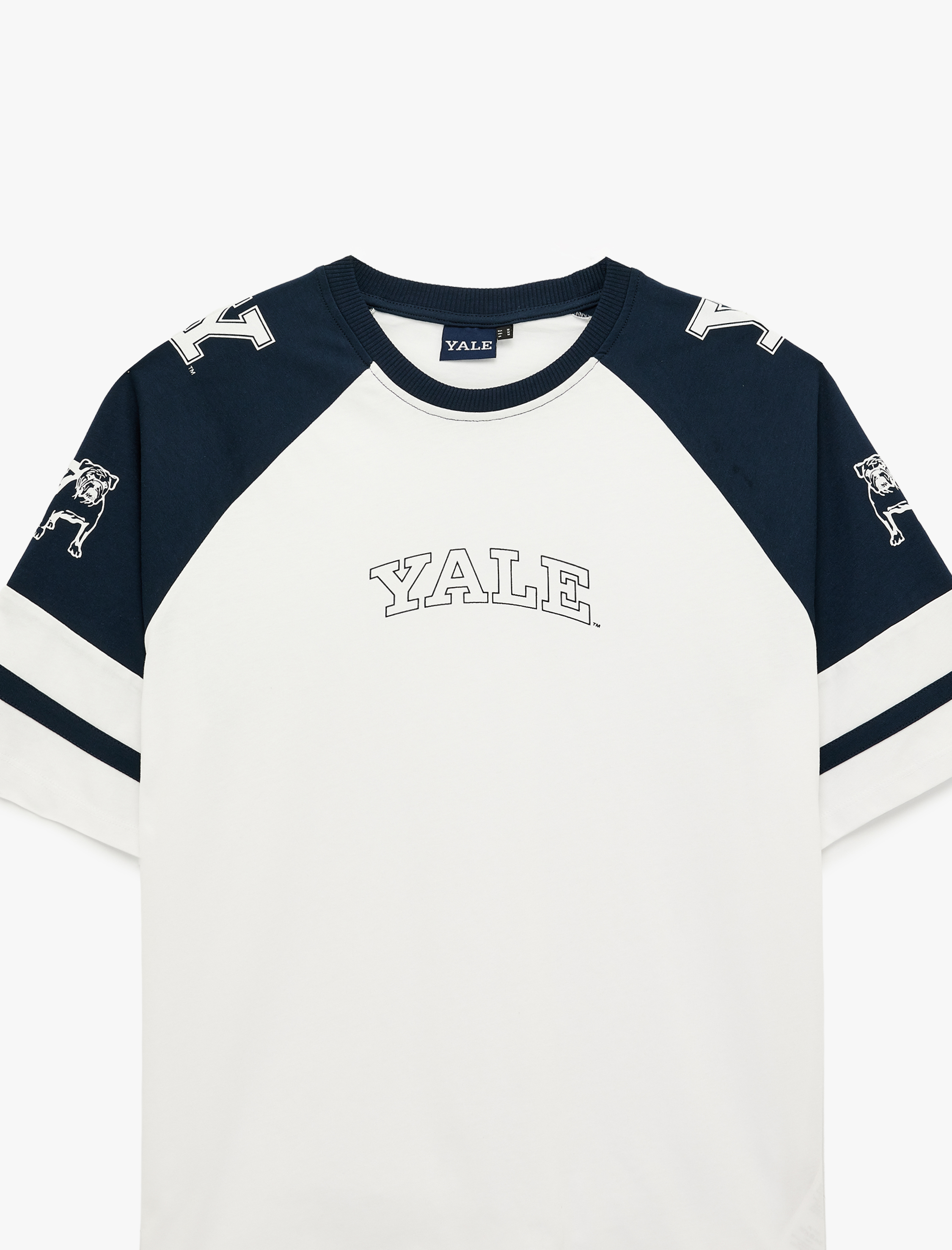   Rahat Kalıp Renk Bloklu Bisiklet Yaka Pamuklu Kısa Kollu Baskılı Yale Lisanslı Tişört