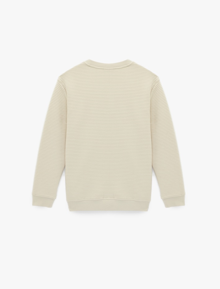  Uzun Kollu Regular Fit Bisiklet Yaka Sweatshirt