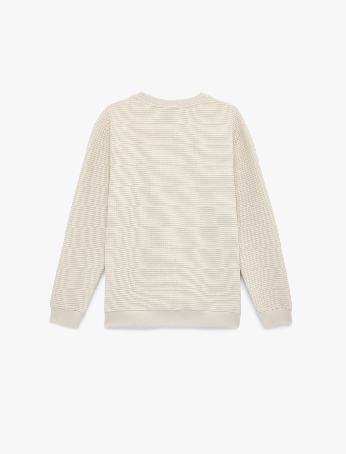  Regular Fit Uzun Kollu Dokulu Bisiklet Yaka Sweatshirt