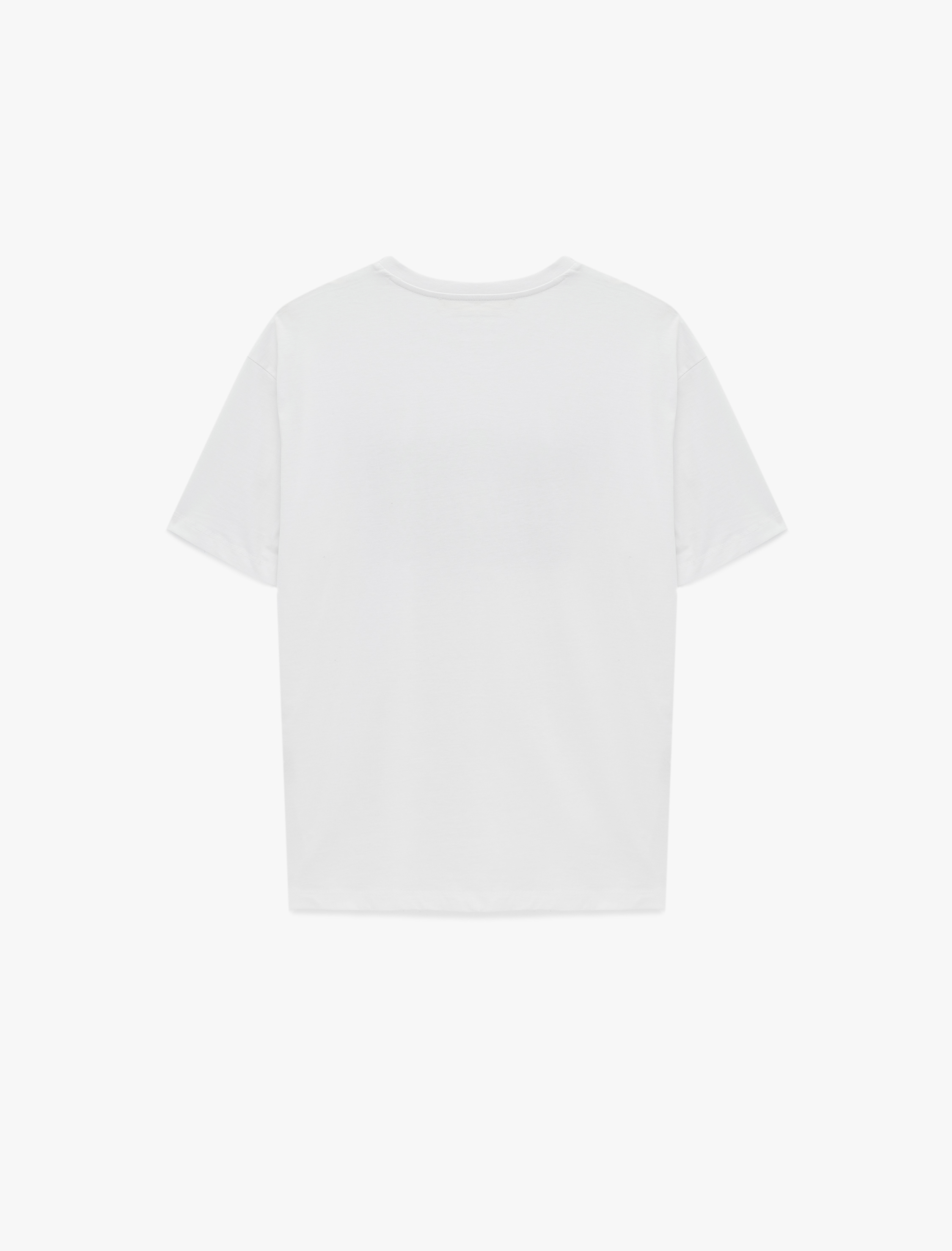   Regular Fit Kısa Kollu Bisiklet Yaka Pamuklu Baskılı Tişört