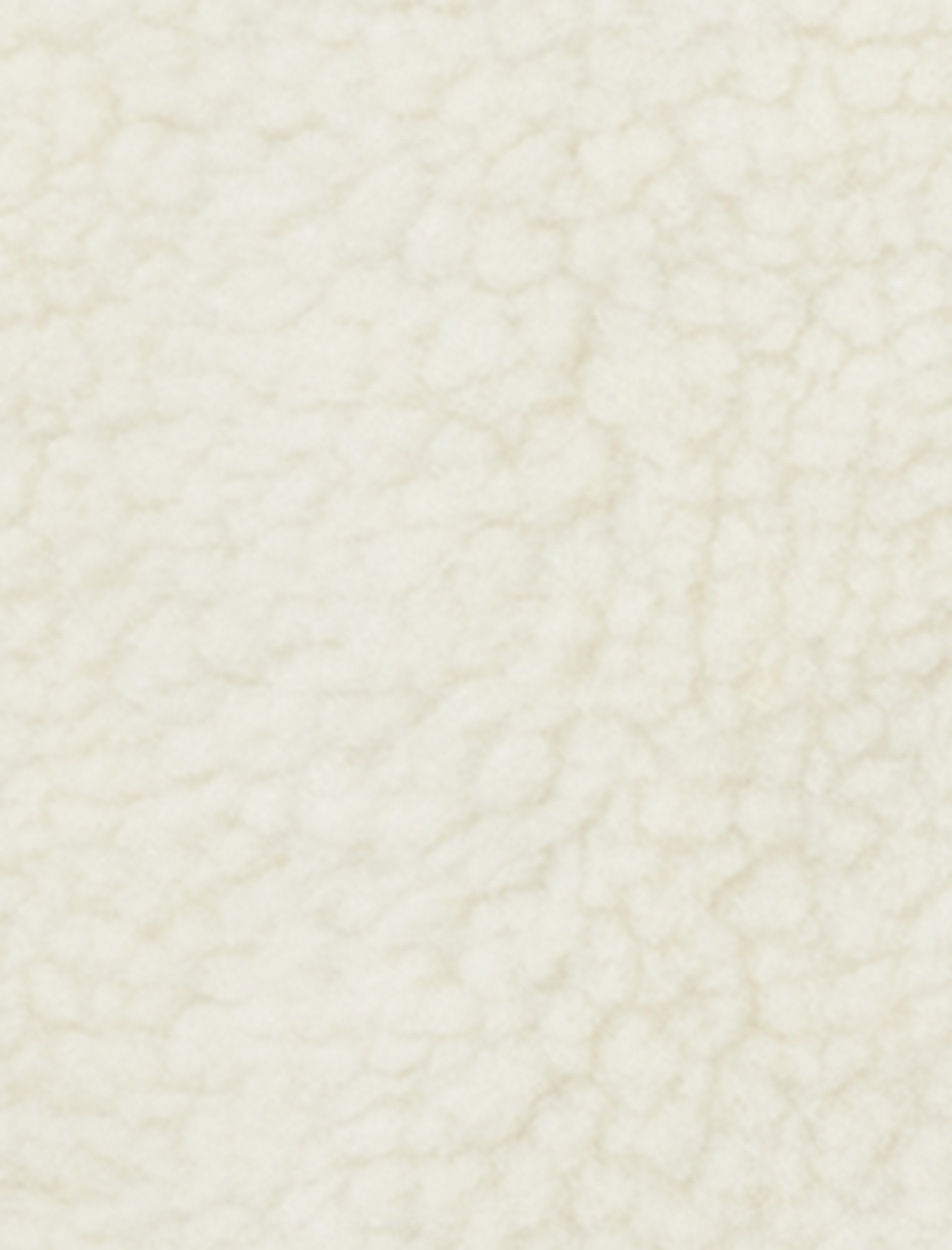   Kapüşonlu Çıtçıt Düğmeli Cep Detaylı Kapitoneli Peluş Oversize Ceket