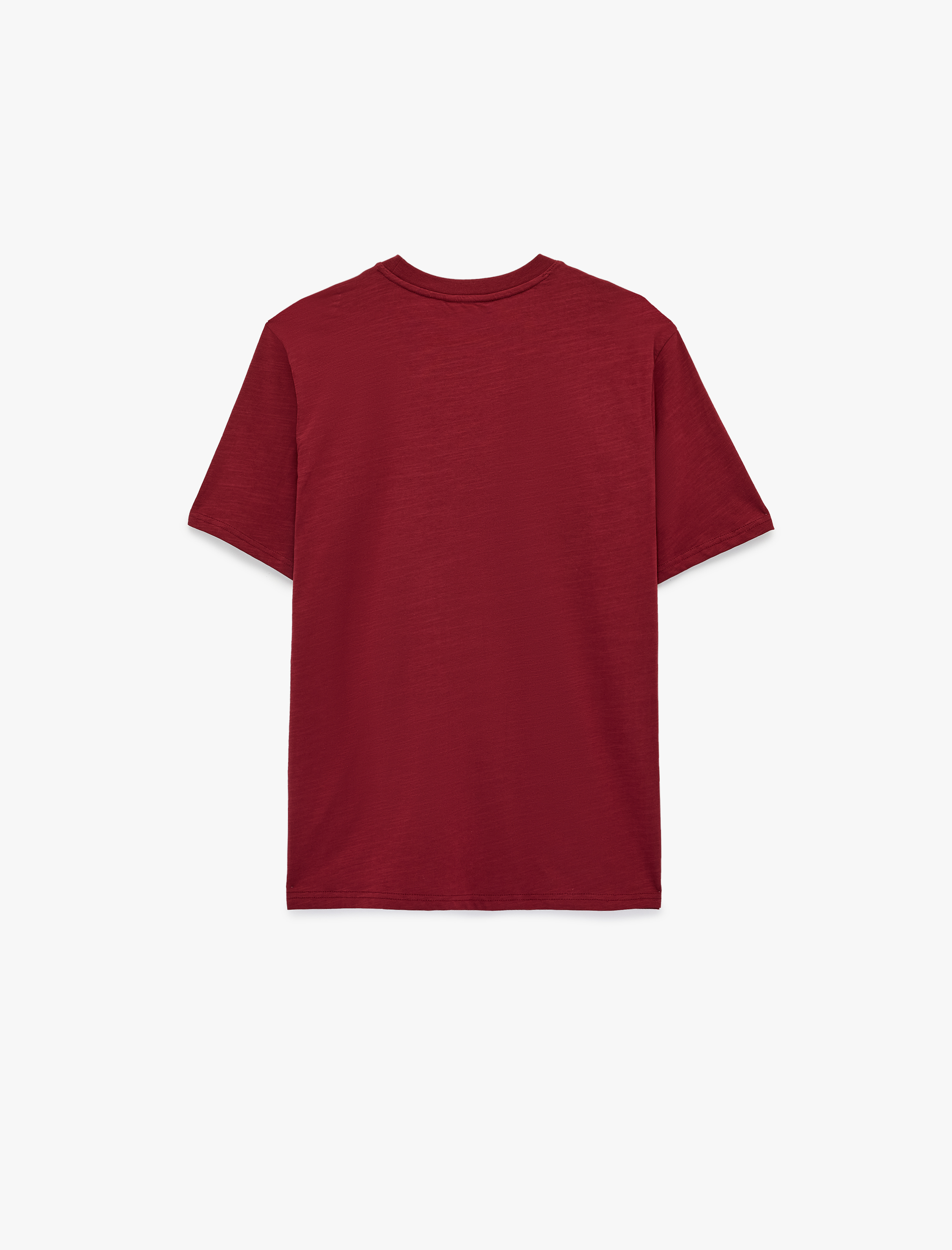   Regular Fit Kısa Kollu Bisiklet Yaka Pamuklu Baskılı Tişört