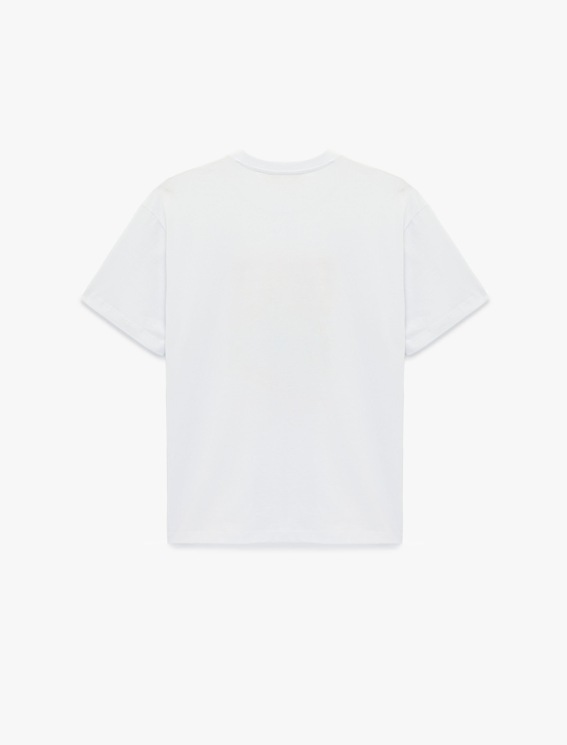   Pamuklu Kısa Kollu Bisiklet Yaka Amalfi Baskılı Tişört